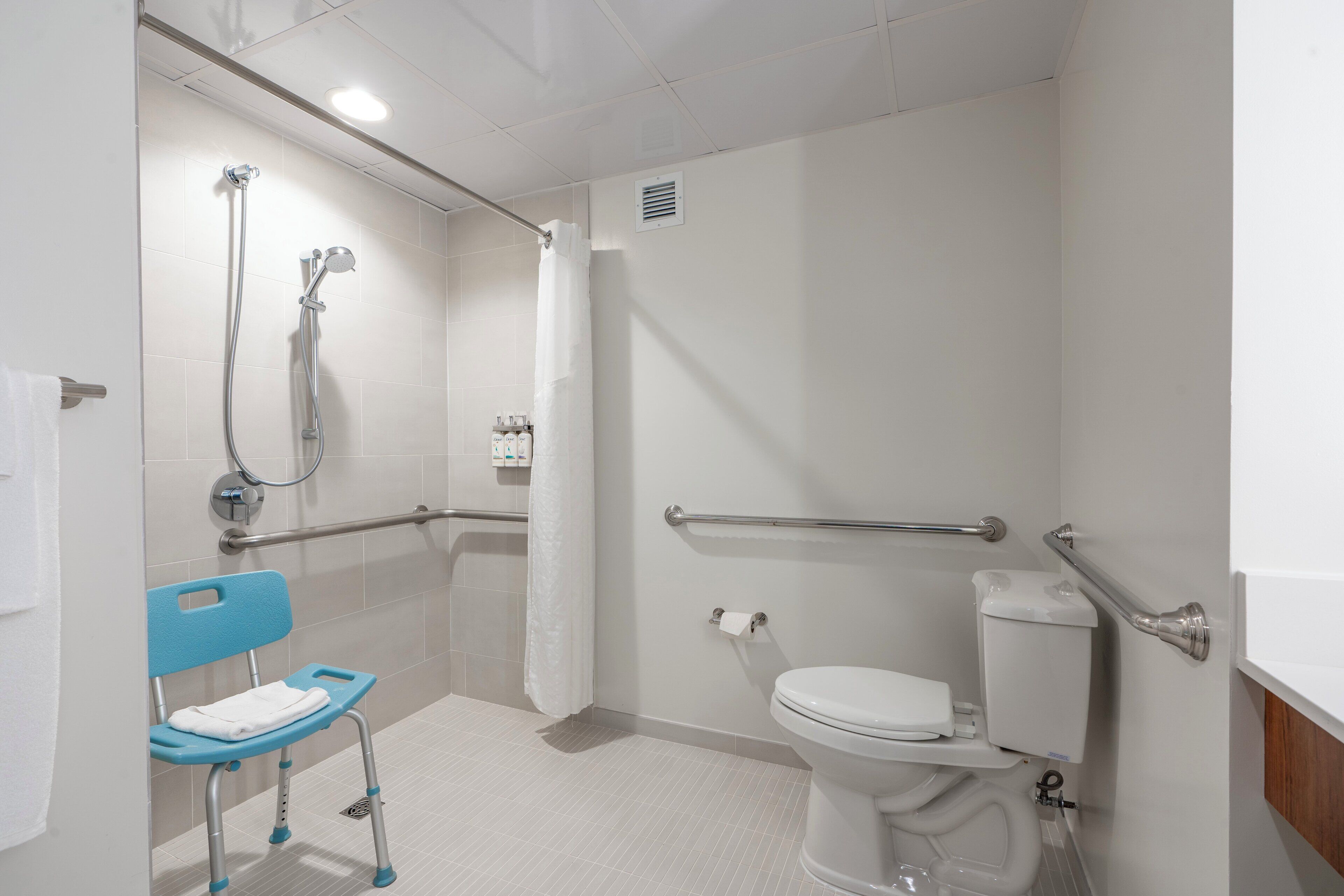A bathroom with a shower, toilet, and a wheelchair-accessible bench.