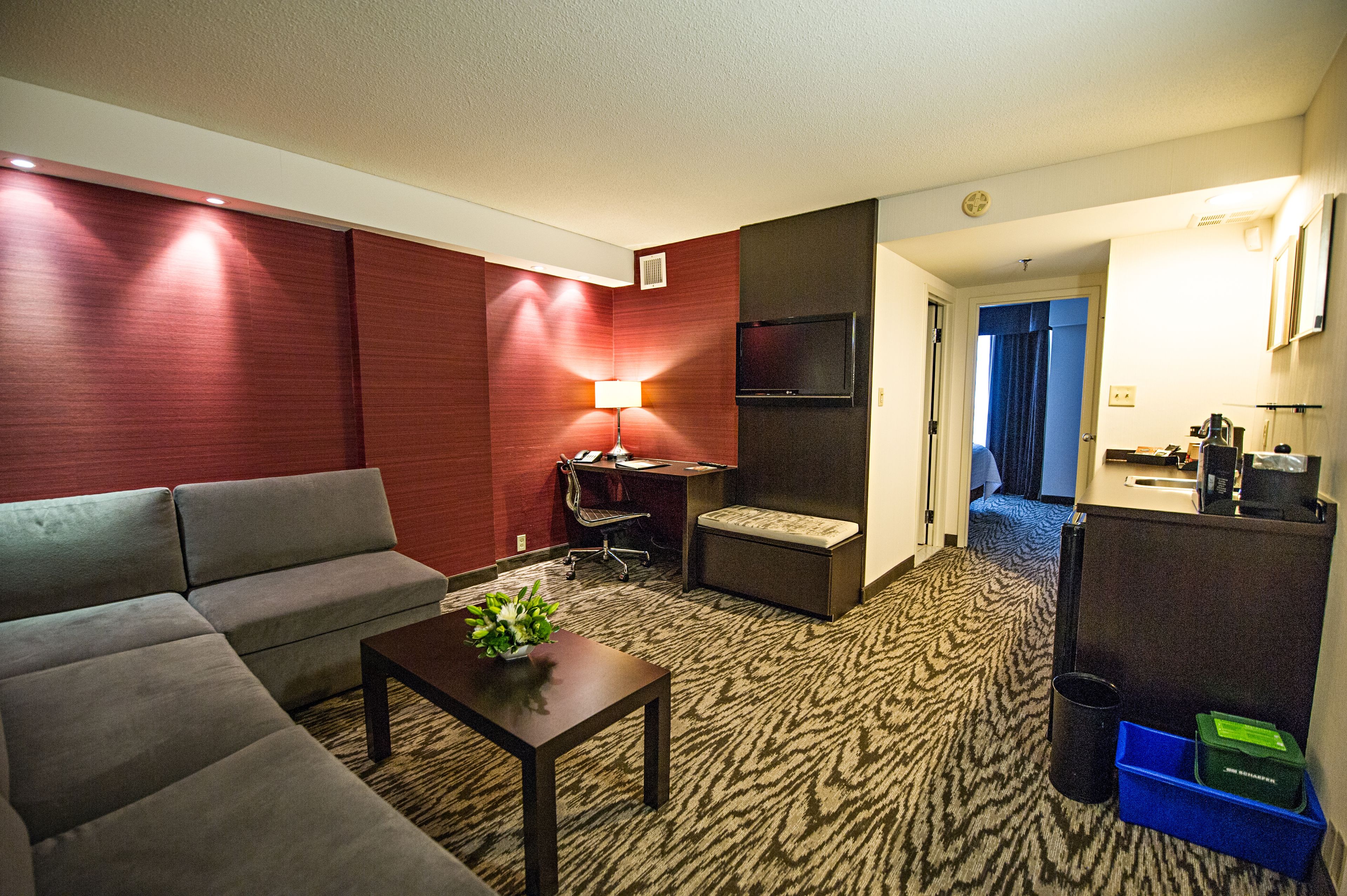 Habitación de hotel con sofá, una mesita con una planta, escritorio con silla, televisión y zona de kitchenette.