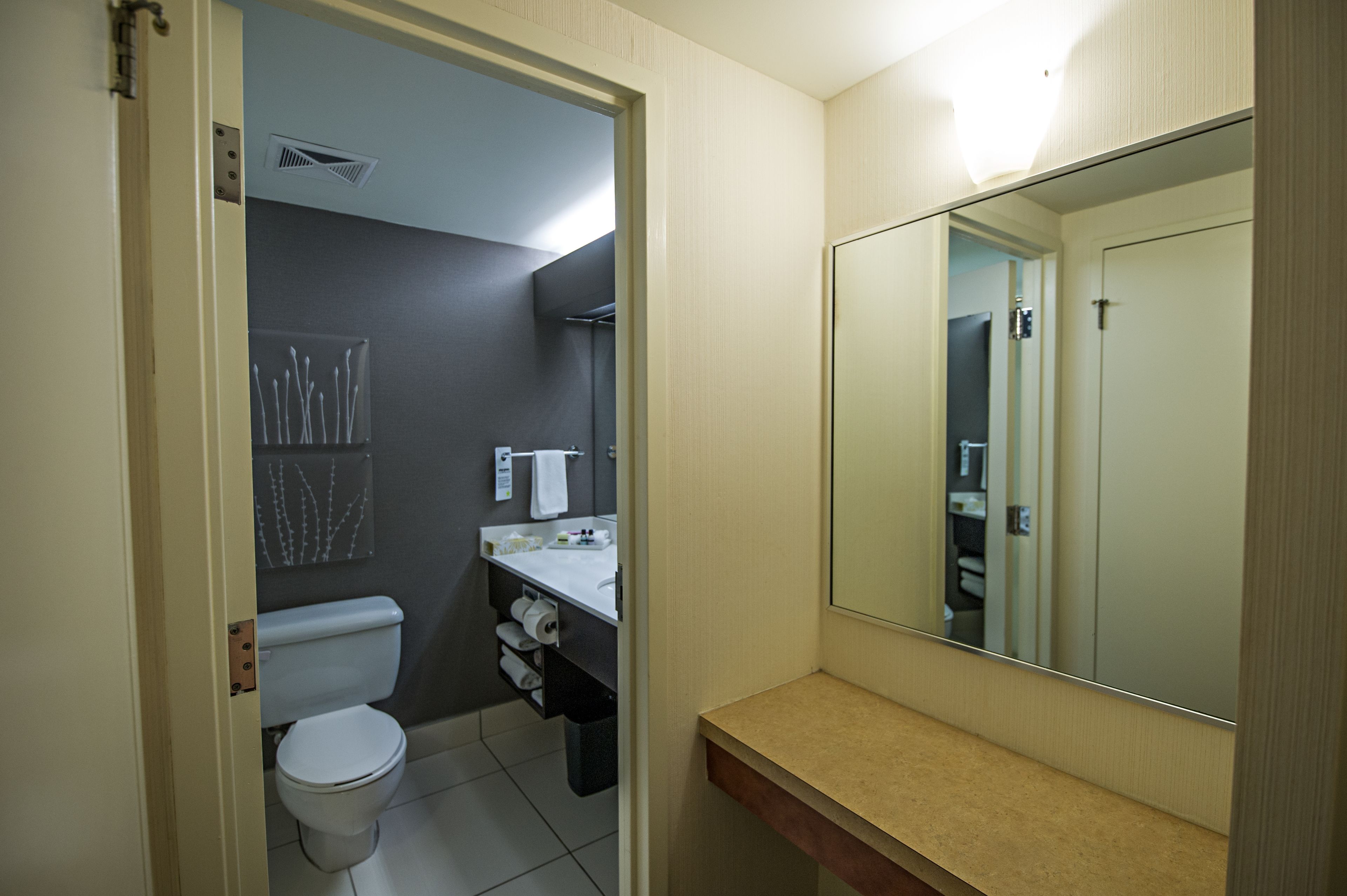 Een badkamer met toilet, wastafel, spiegel en handdoekrek.