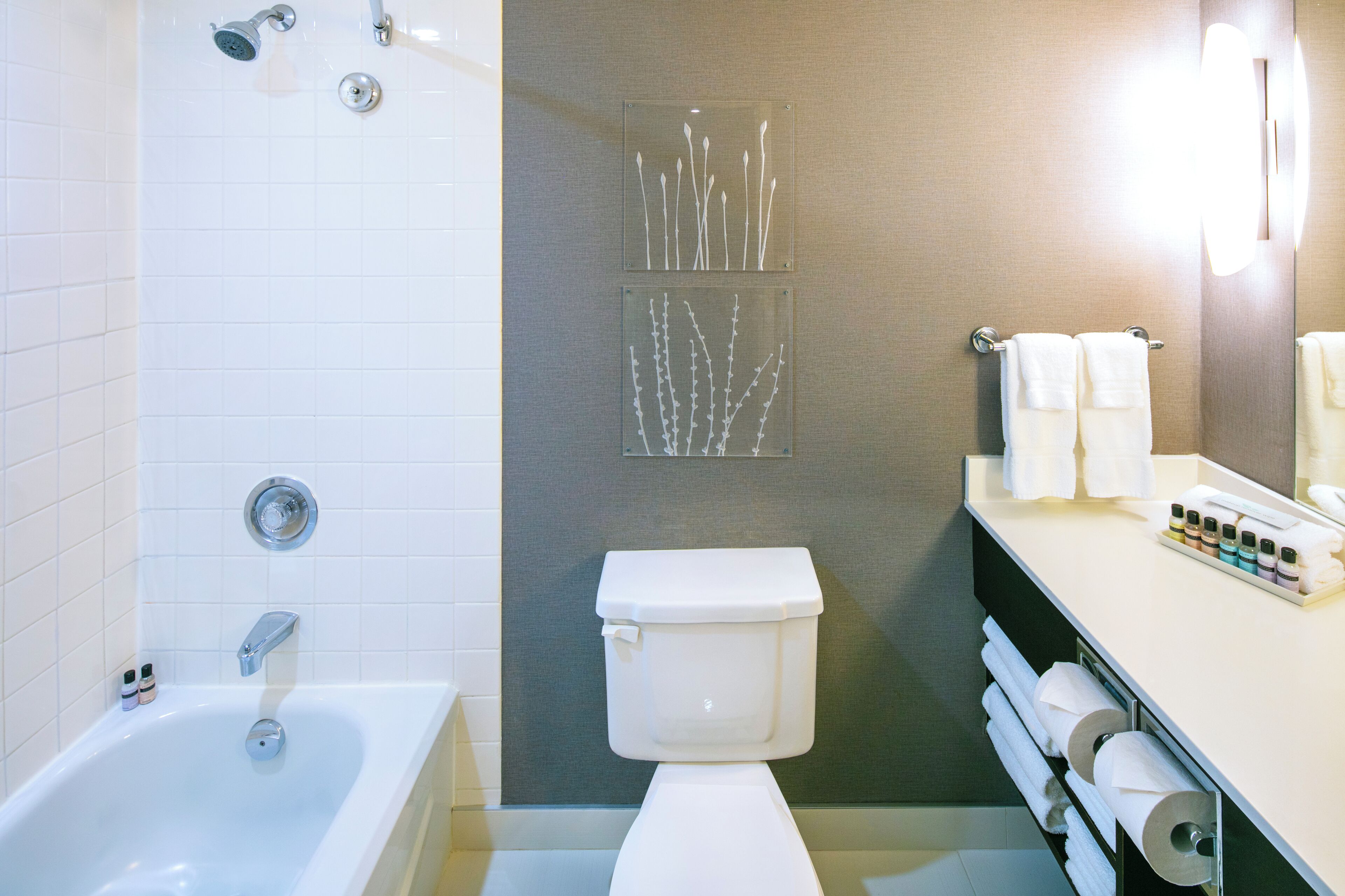 combined shower/bathtub, eco-friendly toiletries, hair dryer, towels