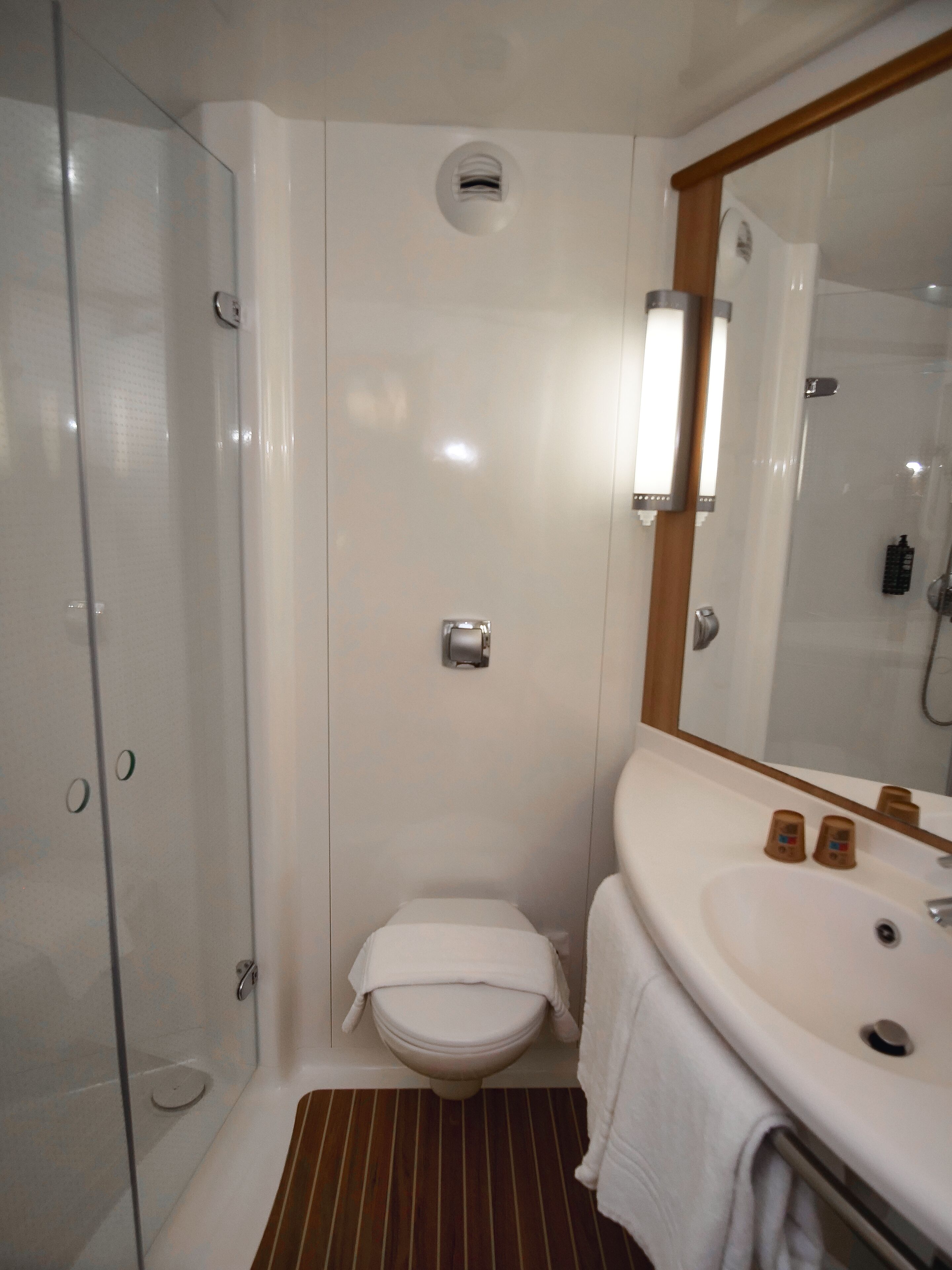 Une salle de bain avec une douche à parois de verre, des toilettes, un lavabo avec un miroir et un porte-serviettes.