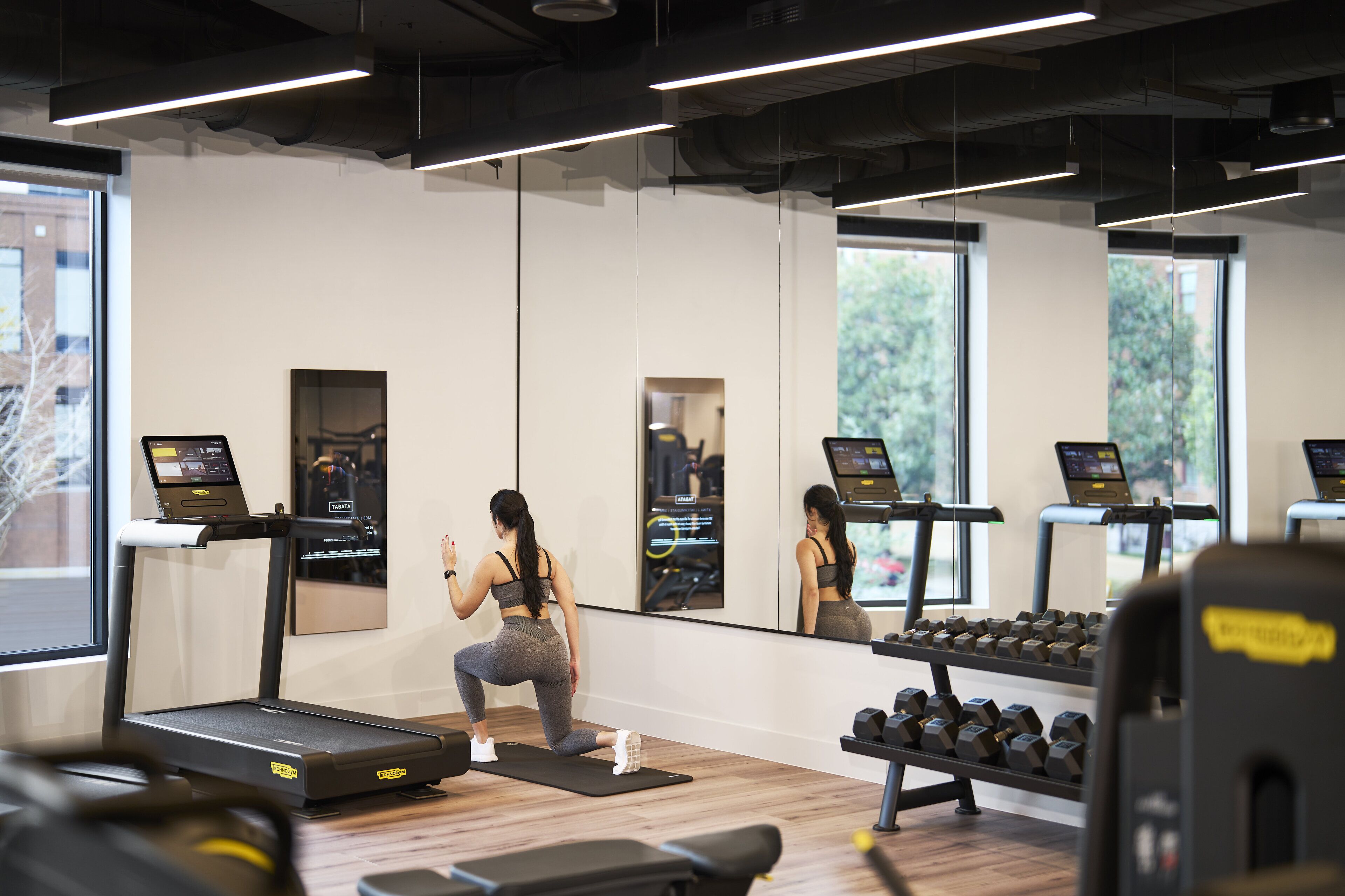 A gym with treadmills, a mirror, and a weight rack.