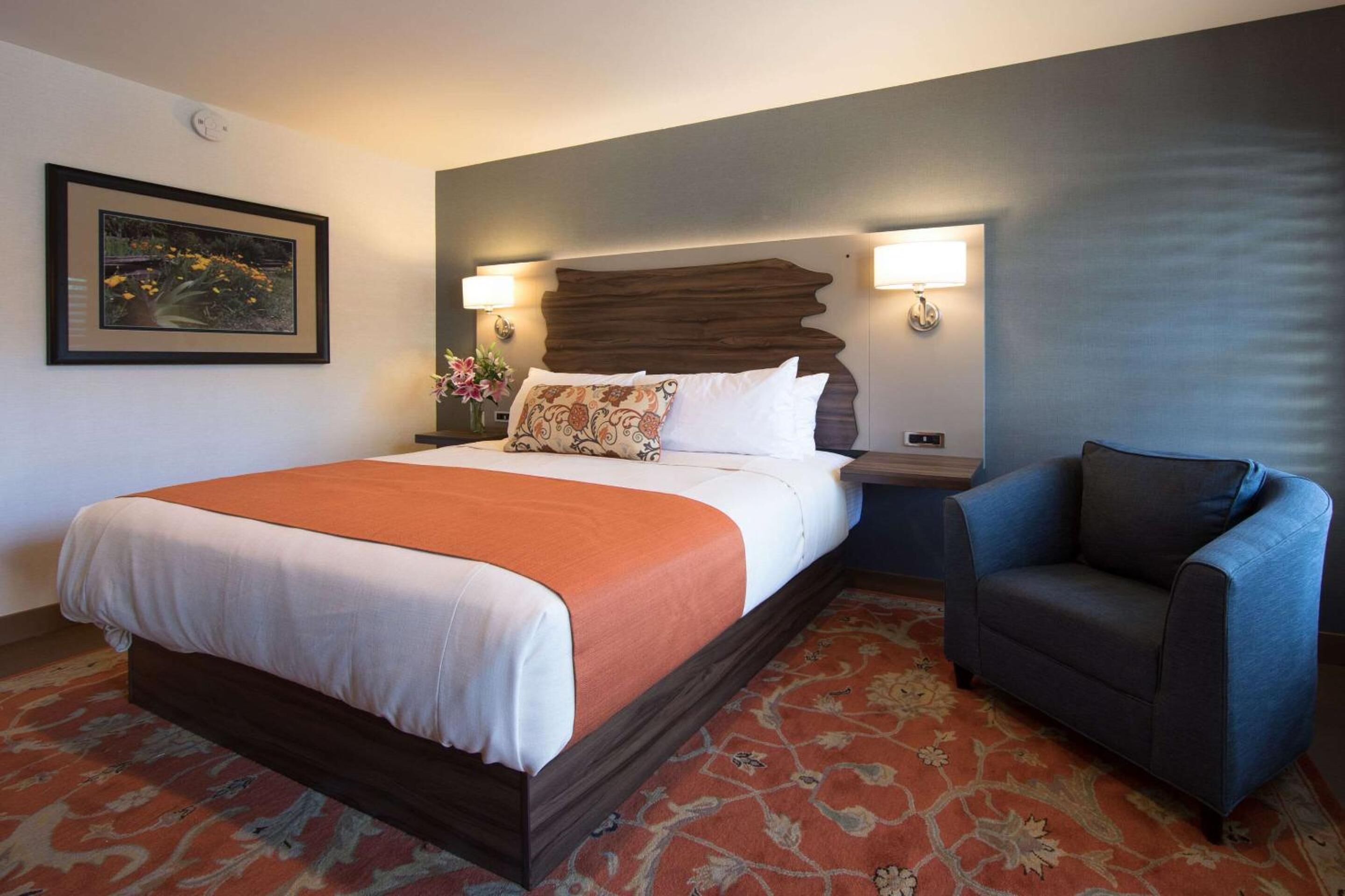 Foto - The Vine Inn Davis