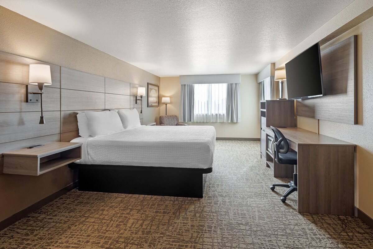 Chambre Affaires, 1 très grand lit, non-fumeur, réfrigérateur et four à micro-ondes | Lit avec matelas à plateau-coussin, coffre-fort, bureau