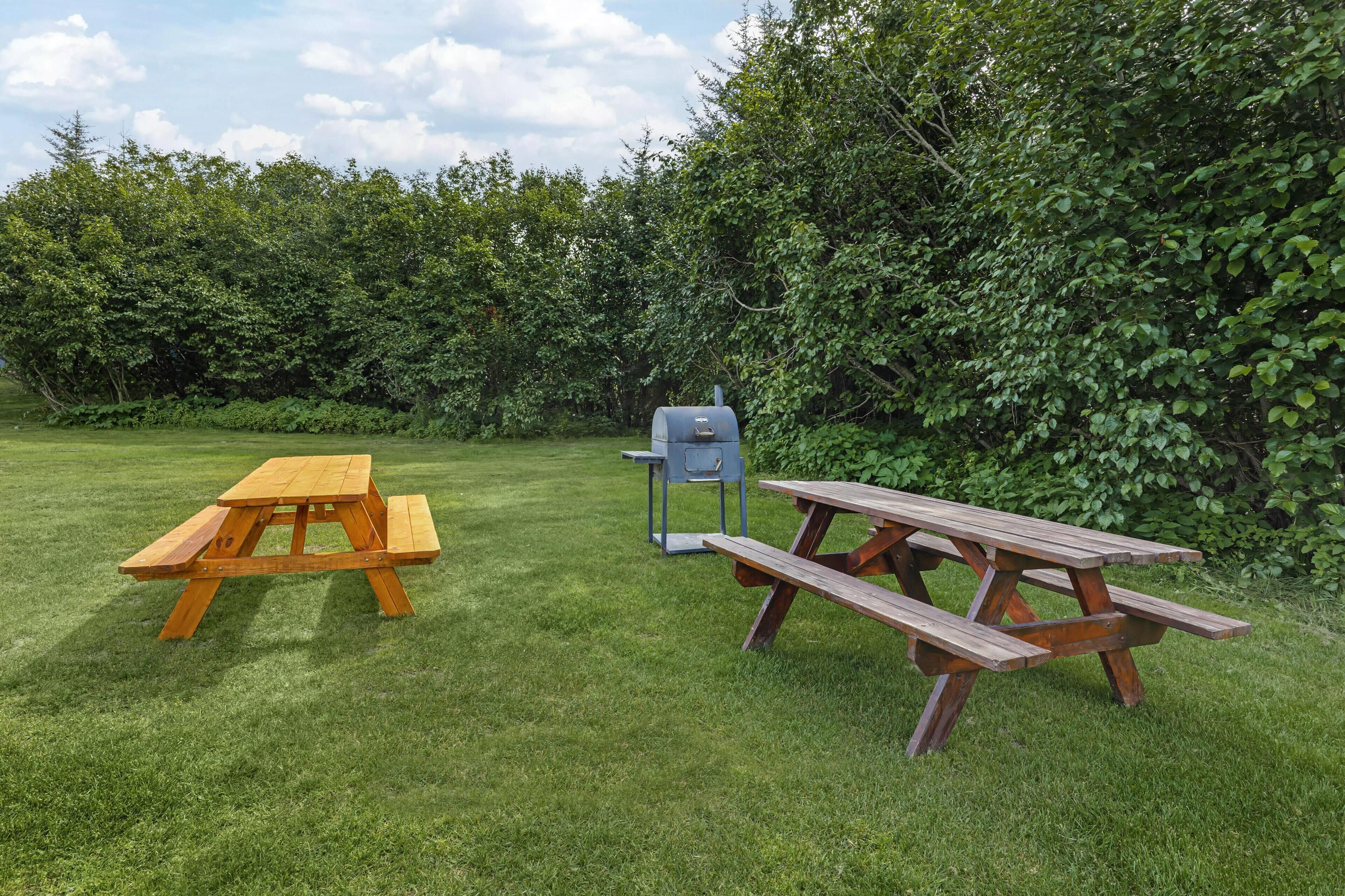 Zwei Picknicktische in einer grünen Wiese, im Hintergrund dichtes Grün.