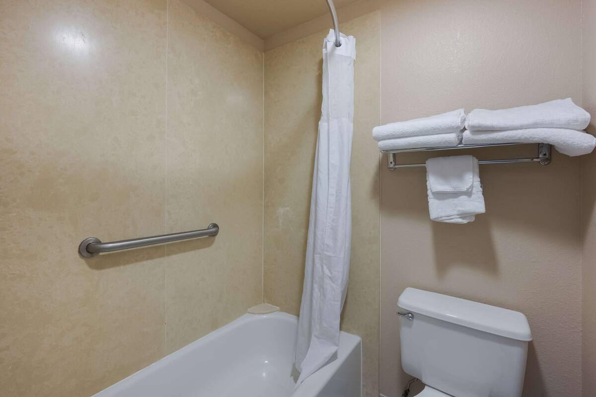 shower, free toiletries, hair dryer, towels