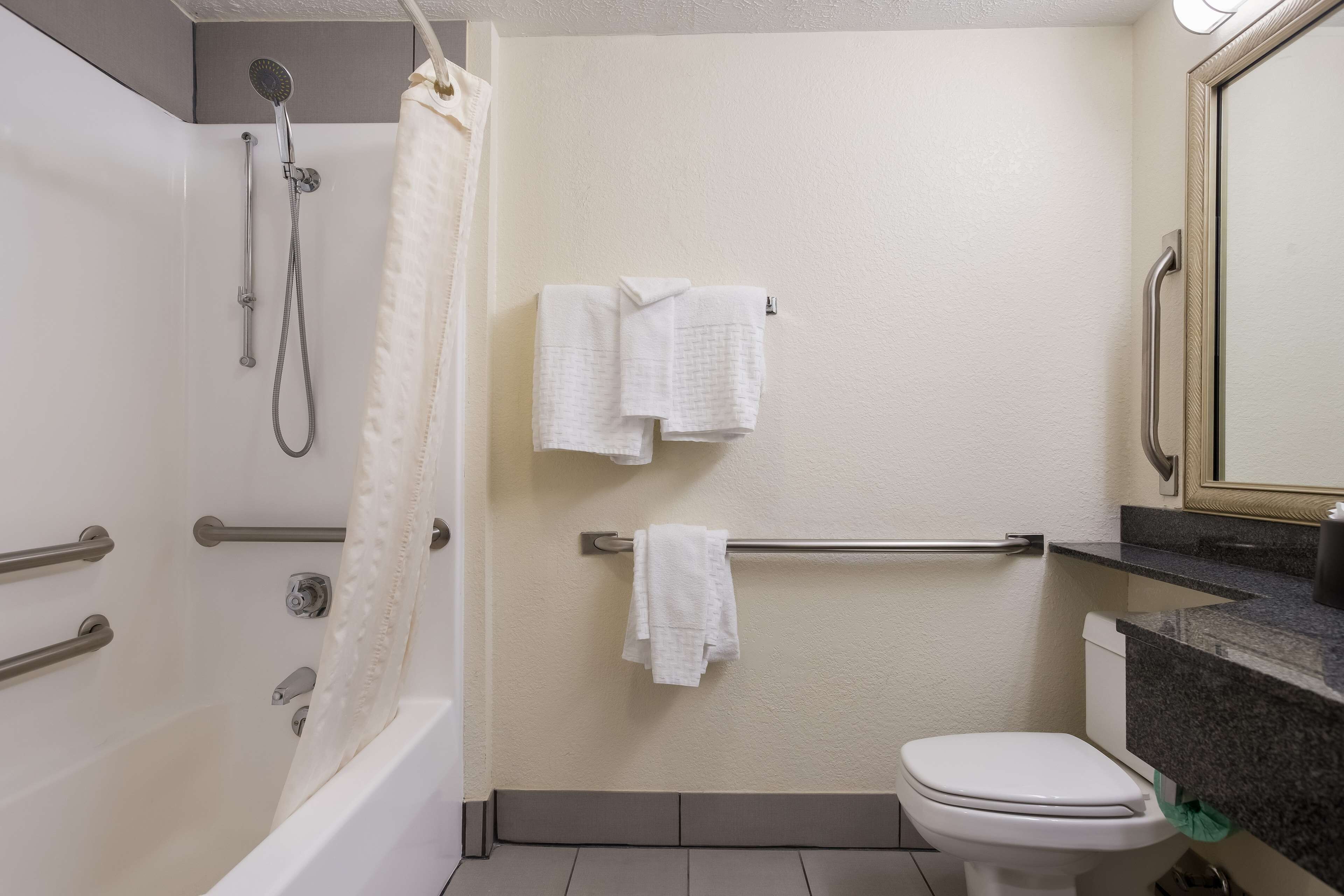 A bathroom with a shower, toilet, and towel rack.