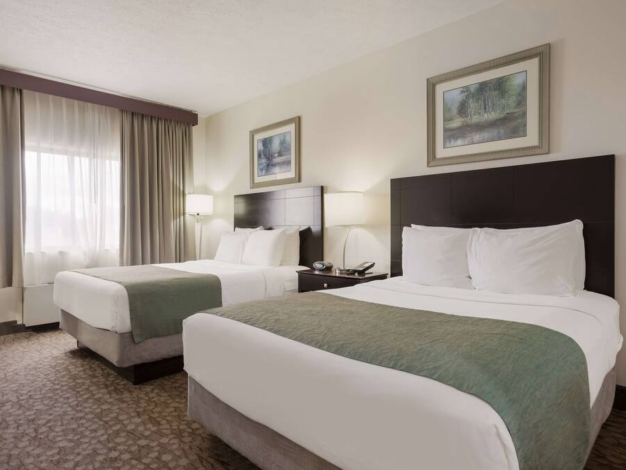 Hypo-allergenic bedding, in-room safe, desk, soundproofing