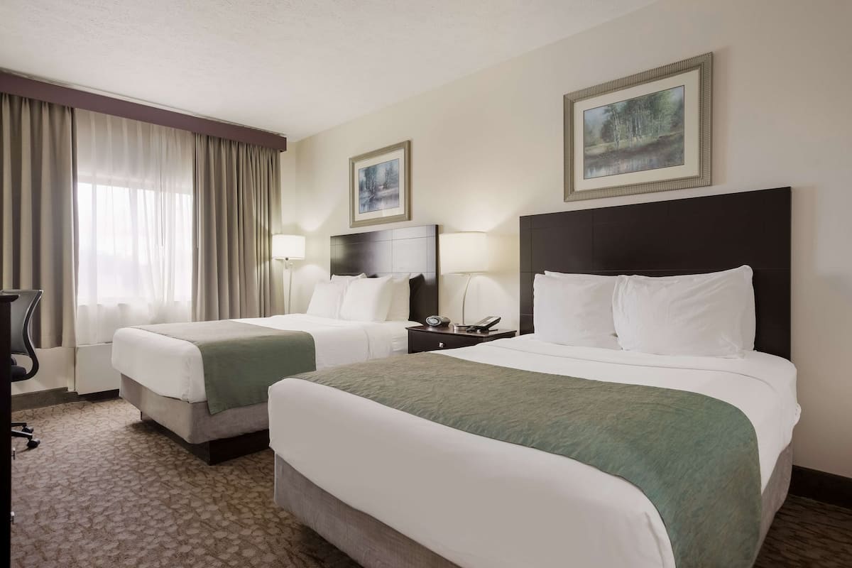 Hypo-allergenic bedding, in-room safe, desk, soundproofing