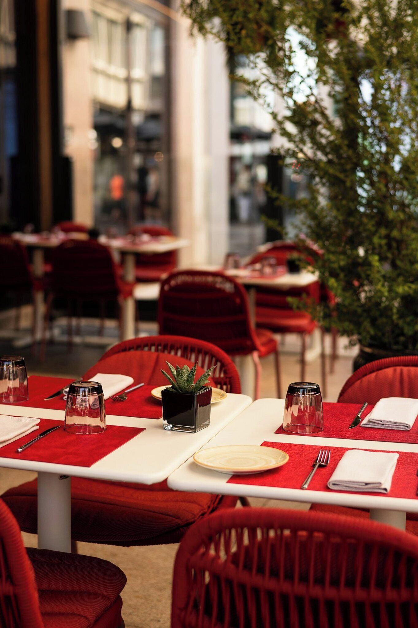 An outdoor dining area with red chairs and tables, some with potted plants.