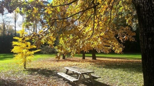 Alexander Park Chambéry (7)