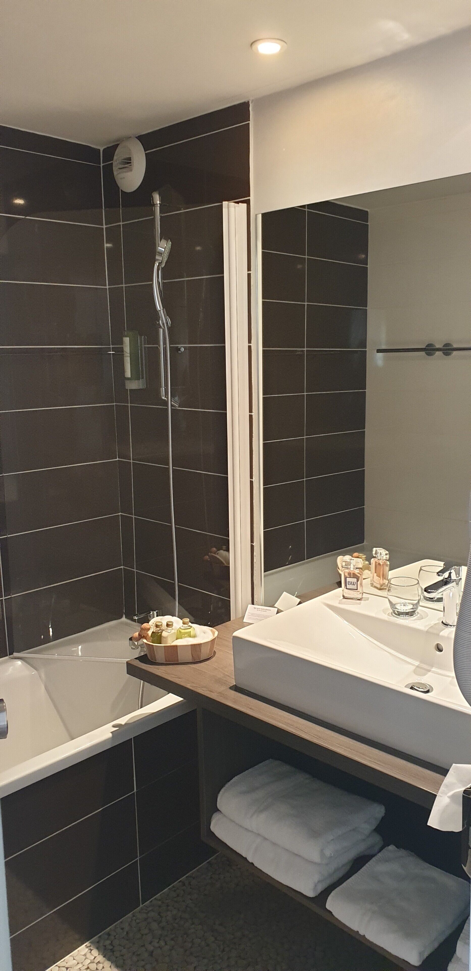 combined shower/bathtub, free toiletries, hair dryer, towels