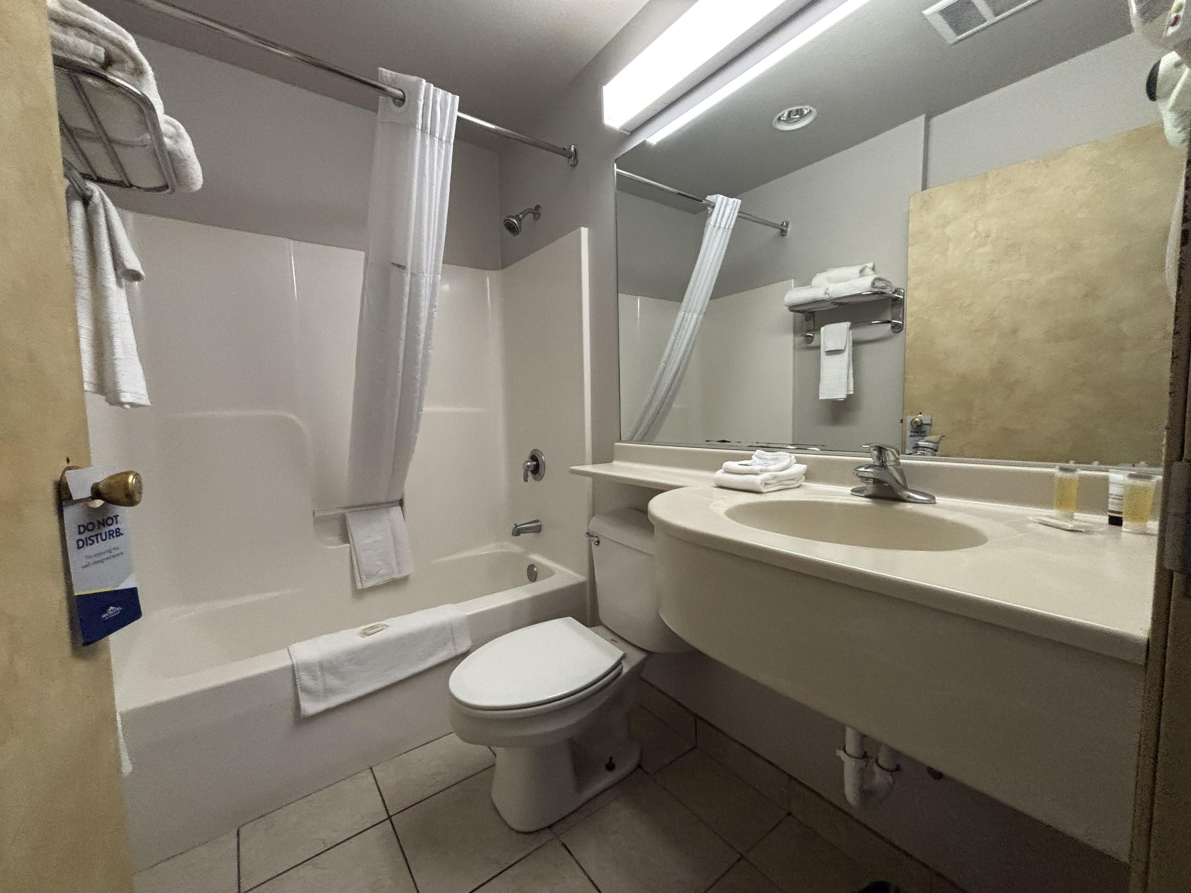 Un baño de hotel estándar con bañera, inodoro, lavabo y un espejo grande.