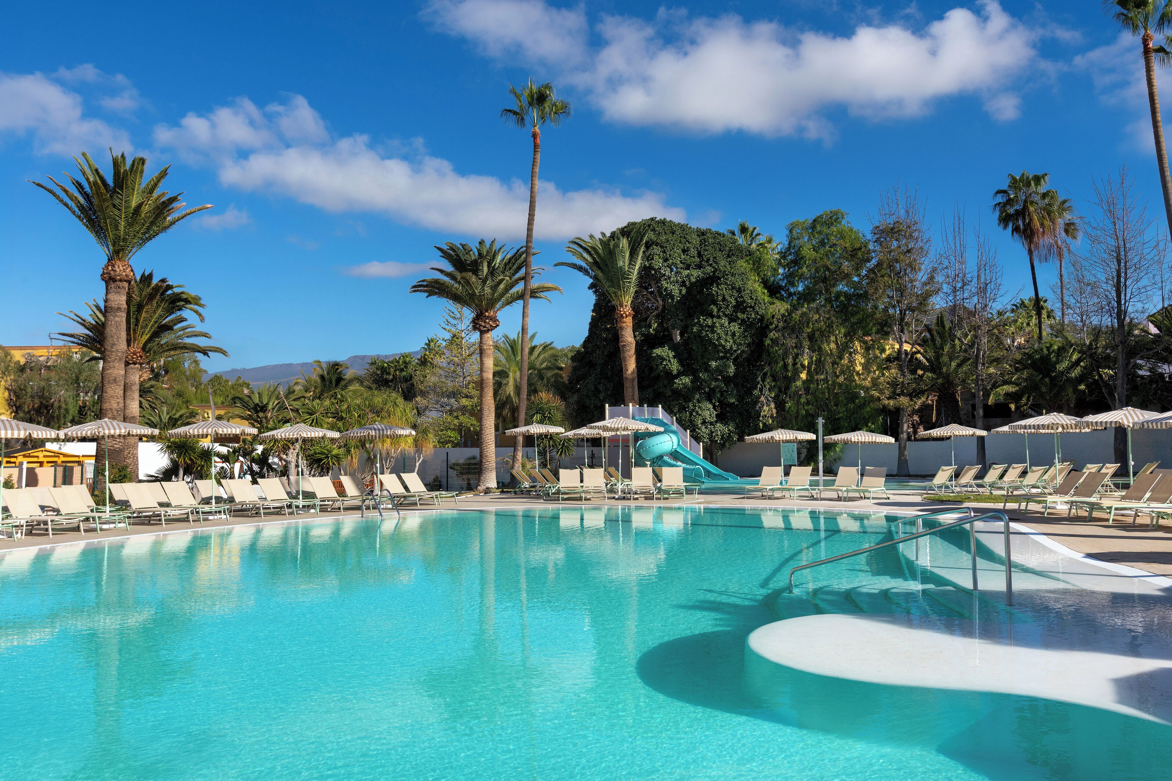 Alberca al aire libre, sombrillas en la alberca y camastros 