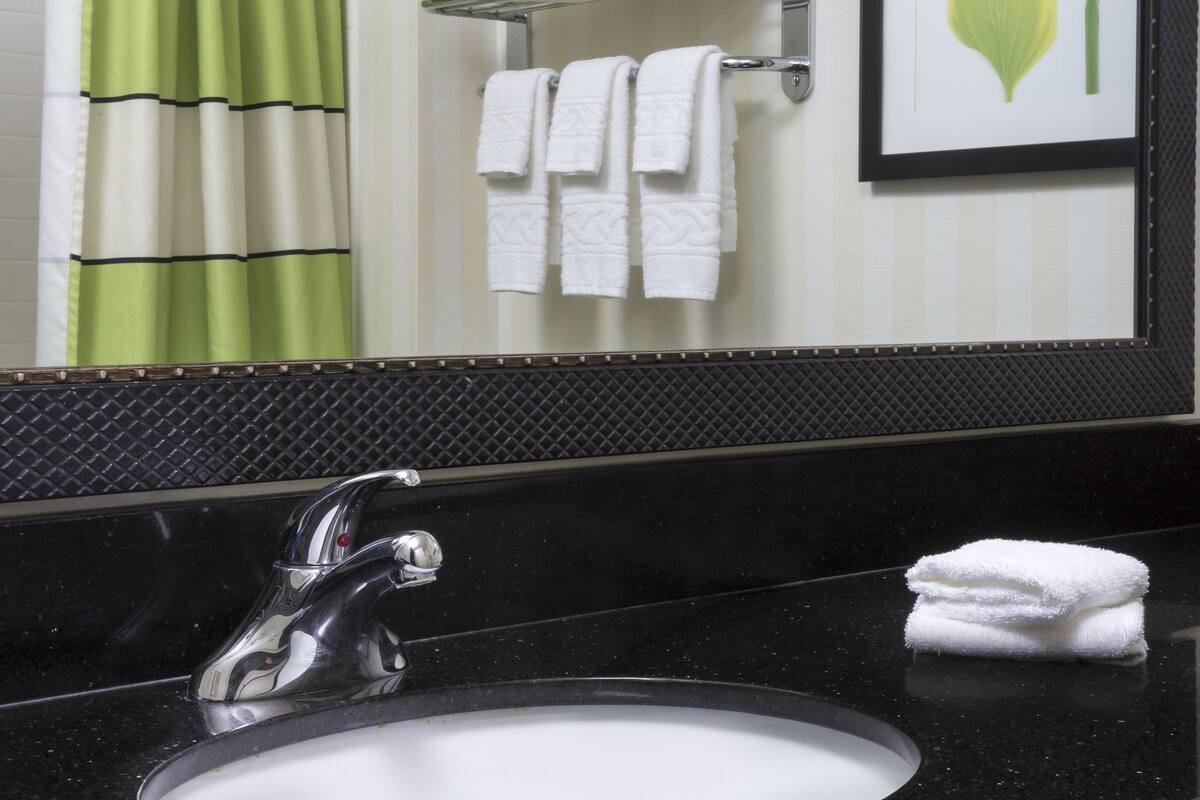 combined shower/bathtub, free toiletries, hair dryer, towels