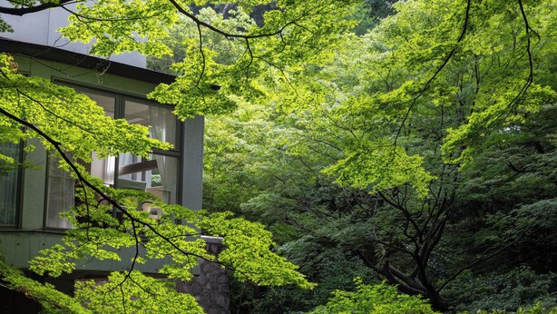 A building with a stone base and a green facade, surrounded by dense green foliage. - Sheraton Miyako Hotel Tokyo (Tokyo)