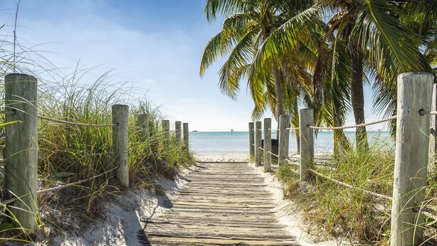 A wooden boardwalk leading to a beach with palm trees and a clear sky. - Amsterdam's Curry Mansion Inn (Key West)