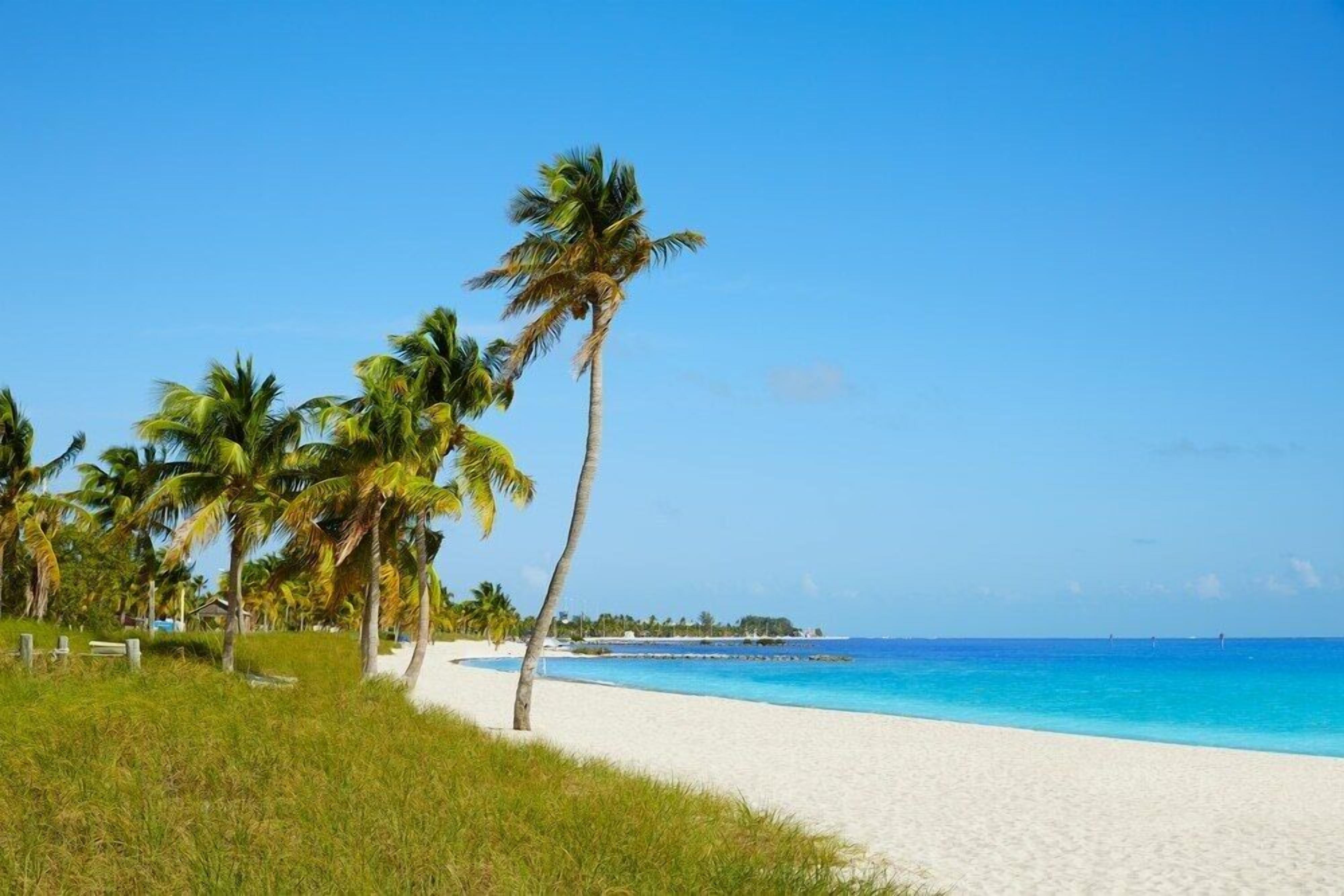 A beach with white sand, palm trees, and a clear blue ocean.