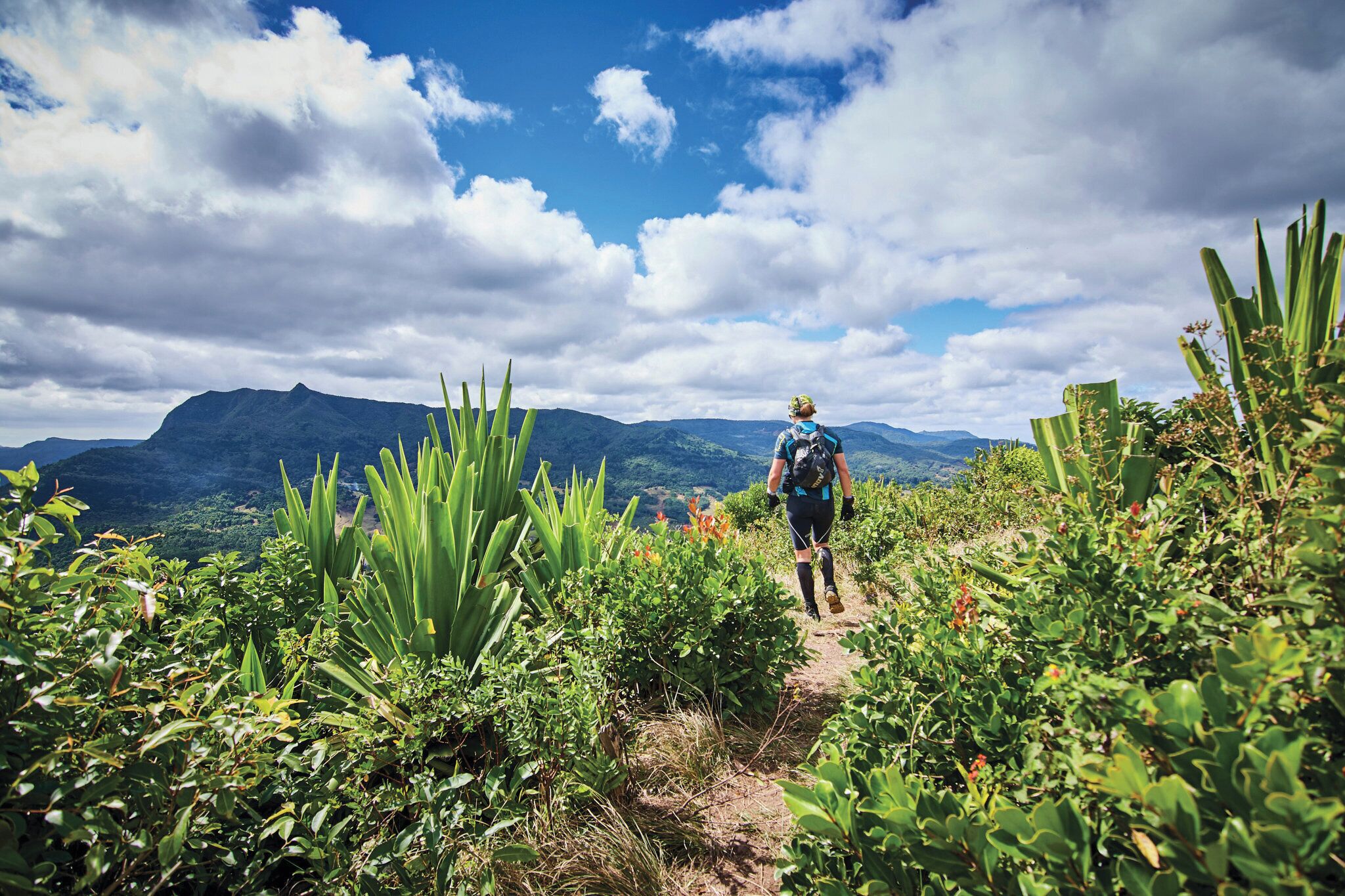 Foto - Royal Palm Beachcomber Luxury