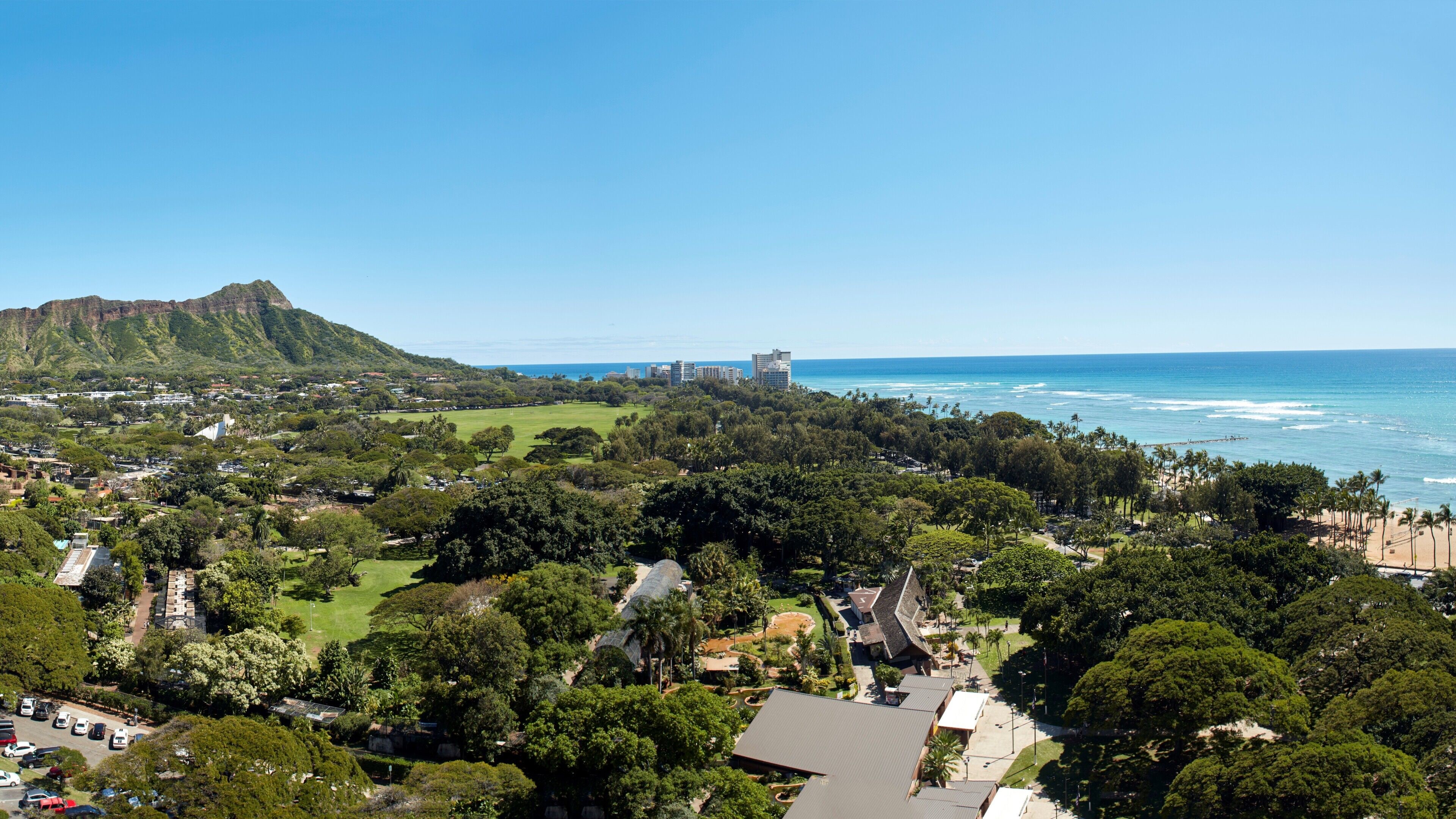 junior suite, 1 king bed, balcony, ocean view | beach/ocean view
