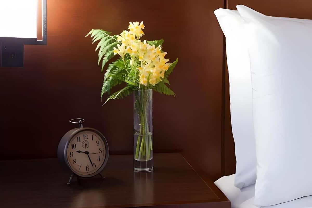 Hypo-allergenic bedding available, in-room safe, desk, laptop workspace