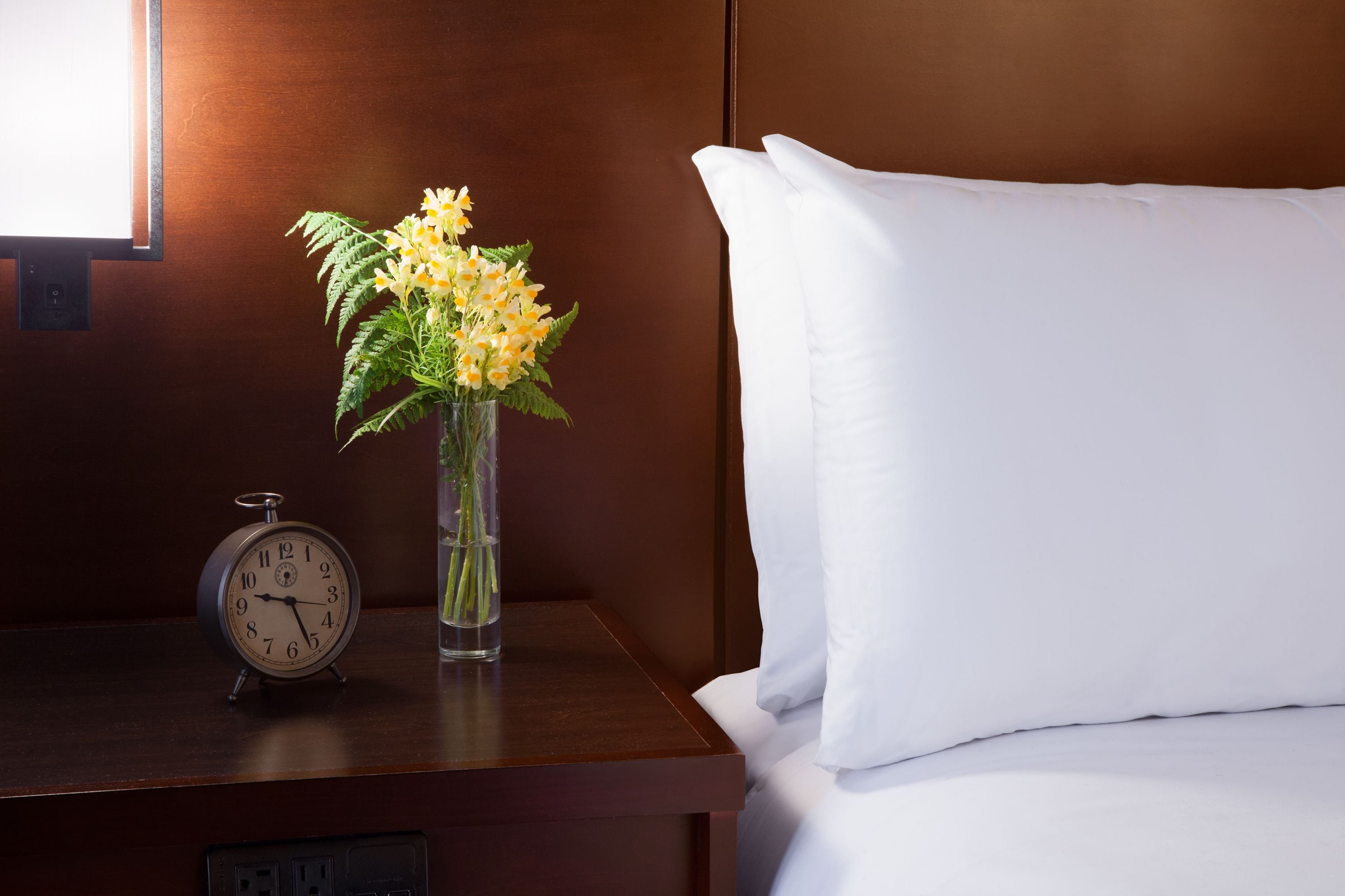 Literie hypoallergénique, coffres-forts dans les chambres, bureau