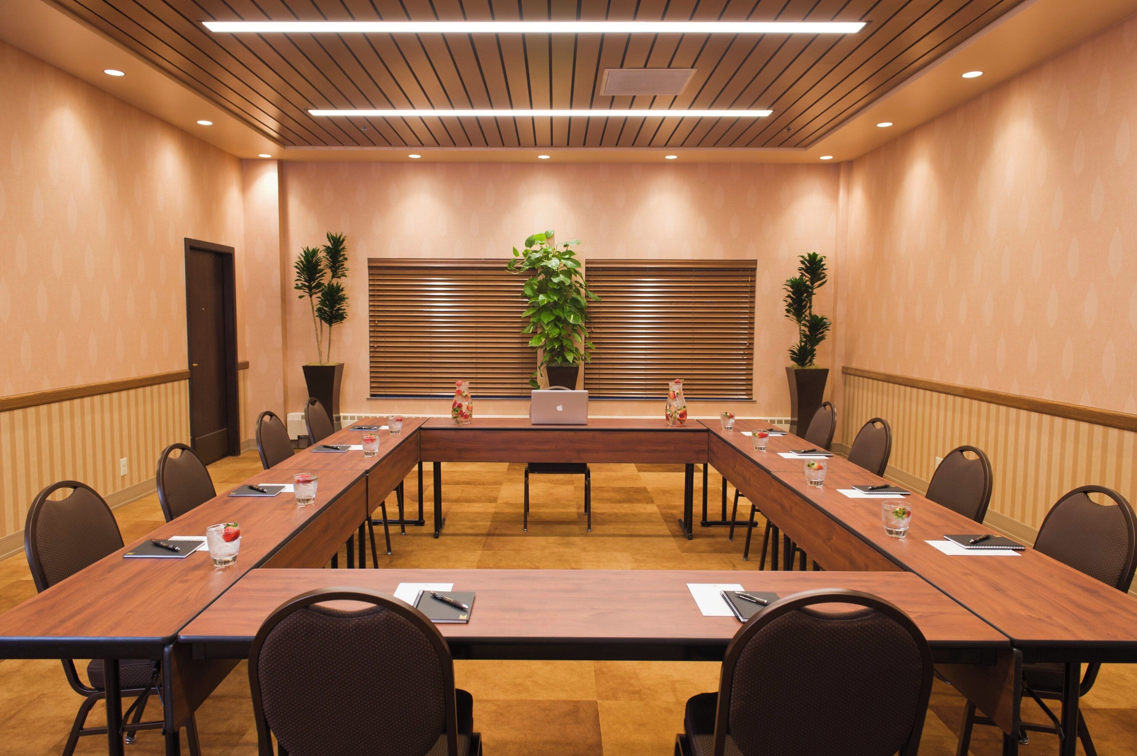 A conference room with a long table, chairs, potted plants, and a laptop.