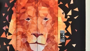 An elevator with a geometric lion design and a sign indicating 'Lift Rooms 201 - 252'. - Van der Valk Waterloo (Waterloo)
