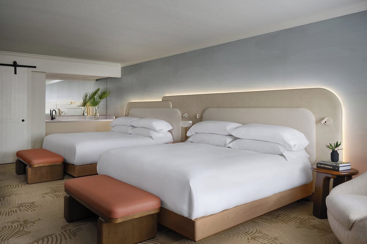 Habitació d'hotel amb dos llits, una petita taula de nit amb una làmpada, una panxa i un taulell amb una planta.