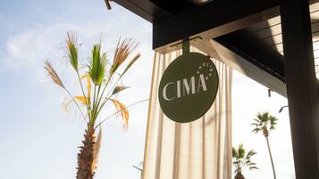Eine Palme, ein Gebäude mit dem Schriftzug 'CIMA' und ein klarer Himmel.