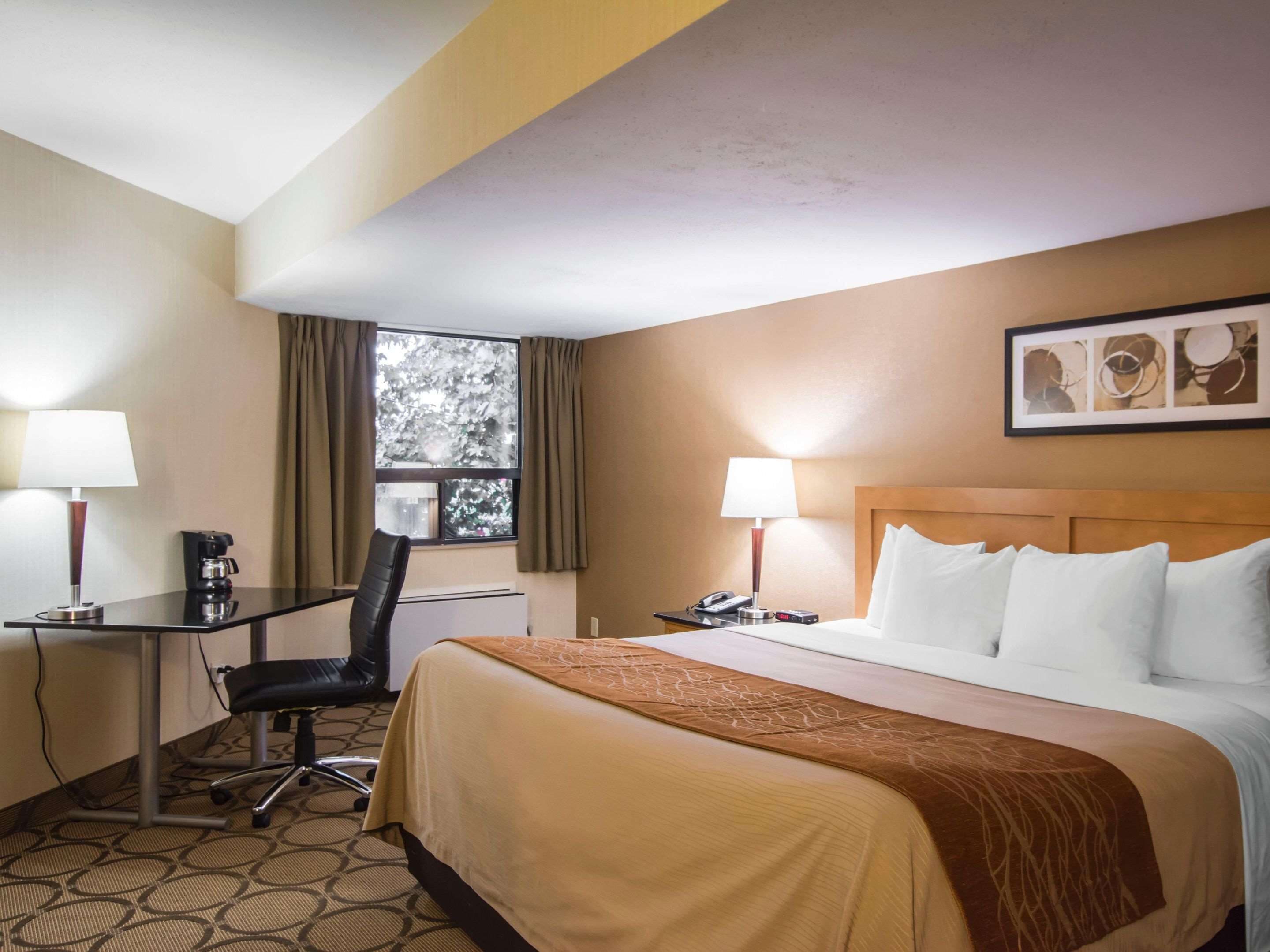 Foto - Comfort Inn Airport East