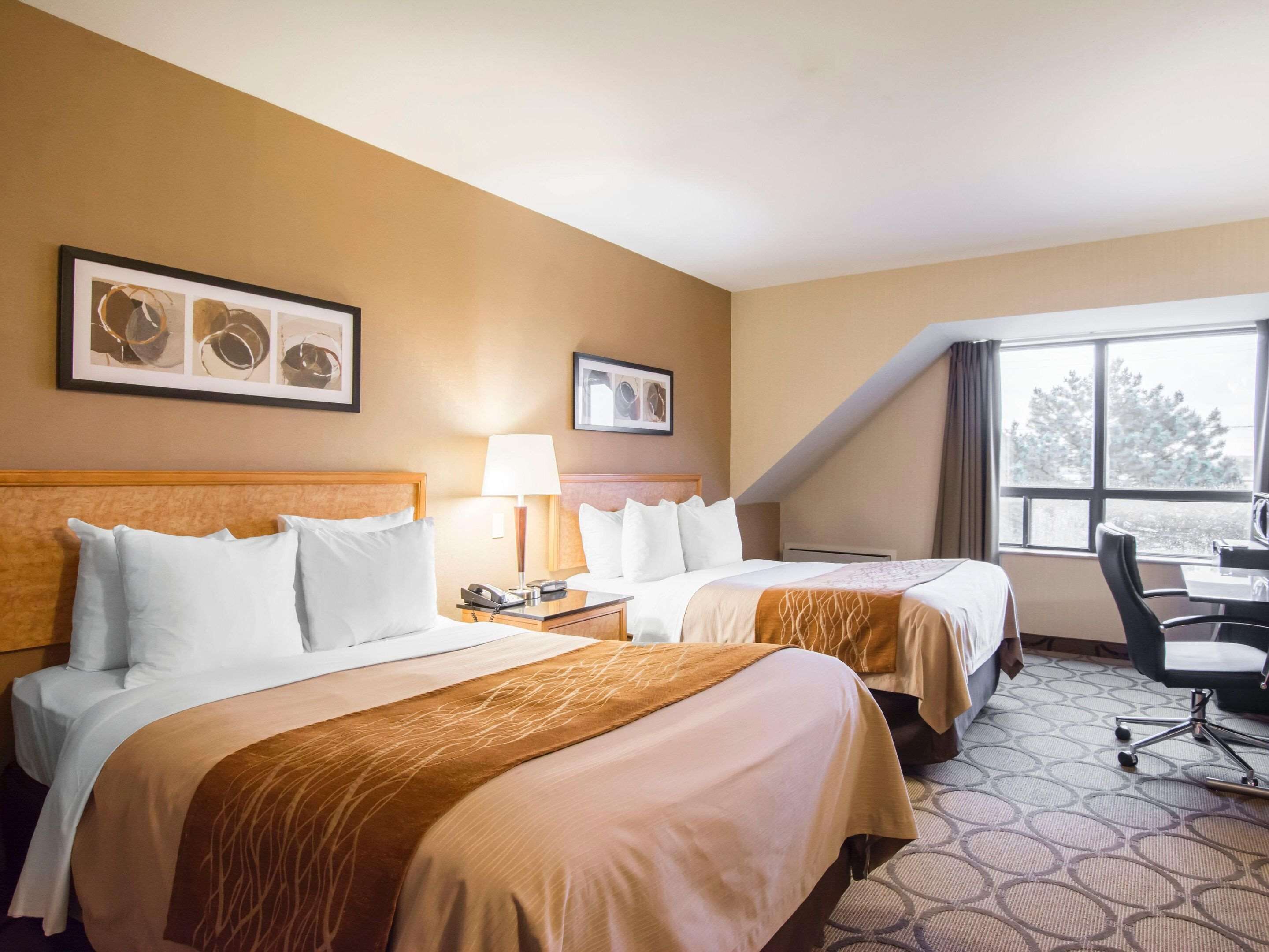 Premium bedding, desk, blackout drapes, iron/ironing board