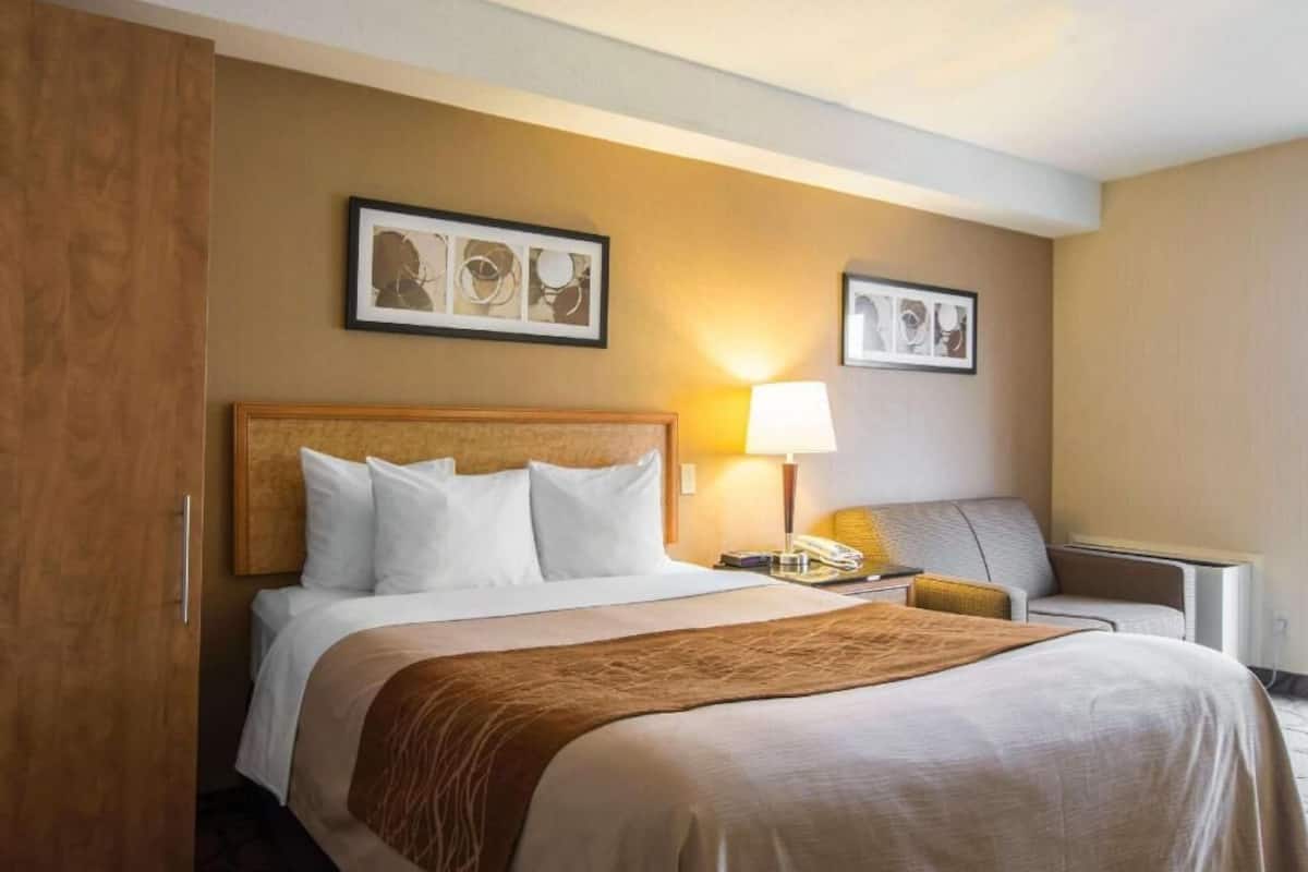 A hotel room with a bed, a nightstand, a lamp, a chair, and two framed pictures on the wall.