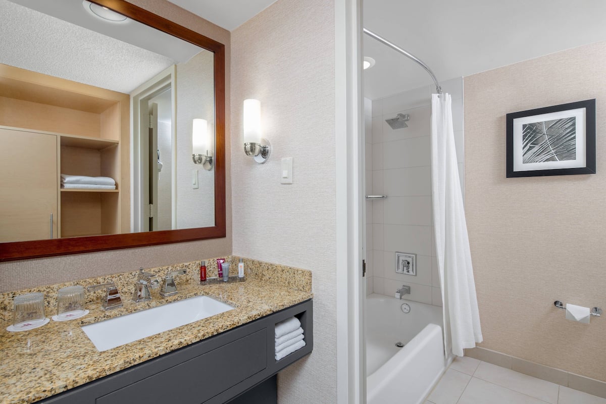 Combined shower/bathtub, free toiletries, hair dryer, towels