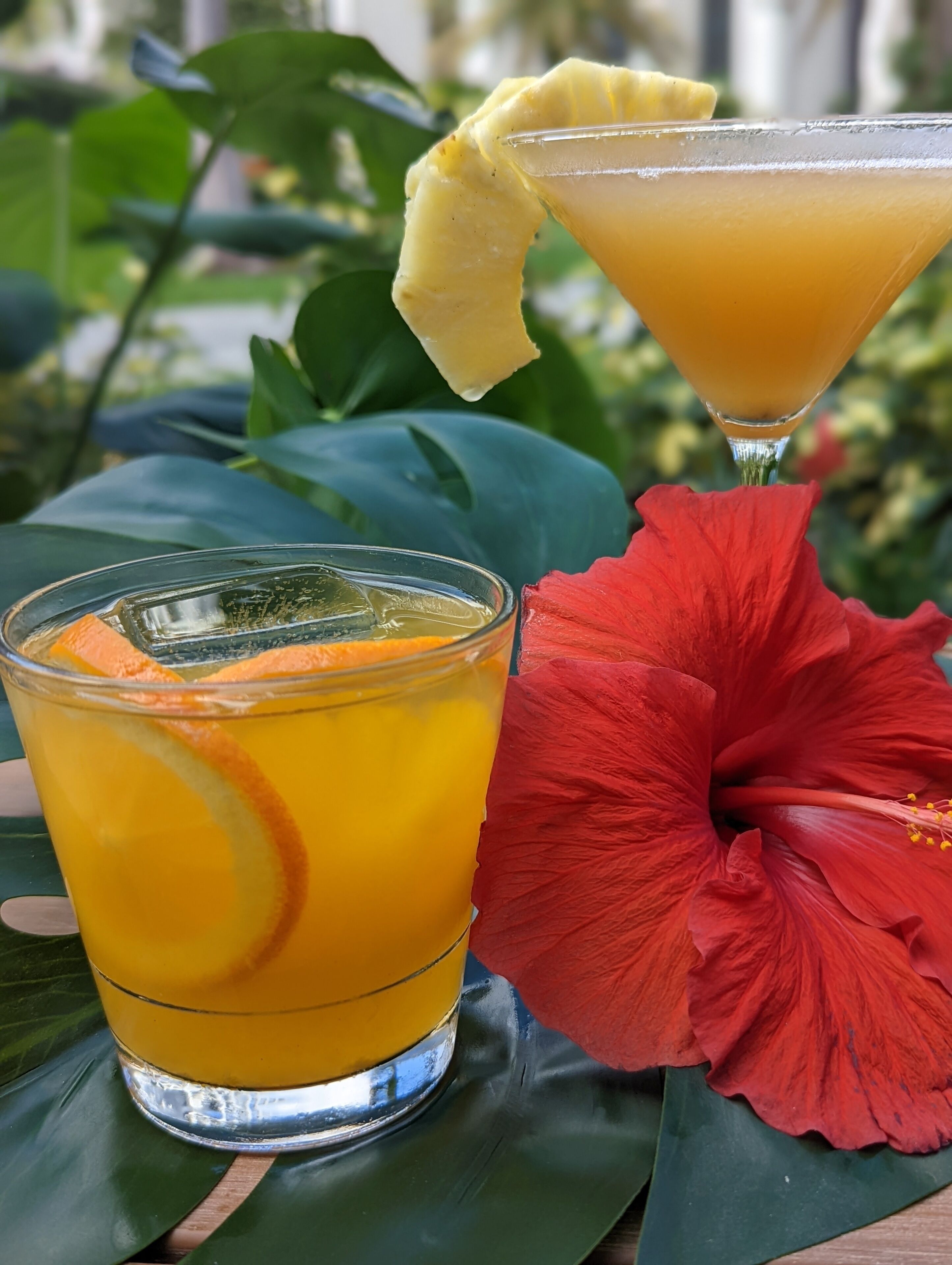Two drinks with fruit garnishes, a red flower, and green leaves in the background.