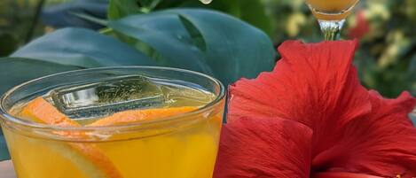 Two drinks with fruit garnishes, a red flower, and green leaves in the background.