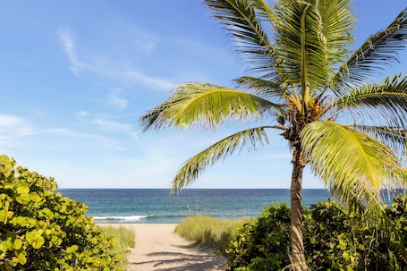 Playa. Boca Raton Marriott at Boca Center
