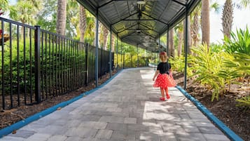 A covered walkway with a metal roof, bordered by a black fence and blue edging, leading through a garden with palm trees and other greenery.