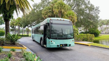 Um ônibus azul claro estacionado em uma estrada pavimentada, com palmeiras e vegetação ao fundo.