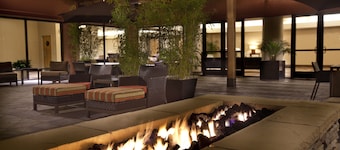 Hilton Concord