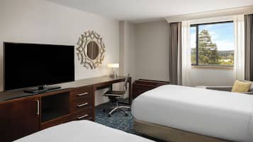 Een hotelkamer met televisie, bureau, stoel, twee bedden en een raam met uitzicht.