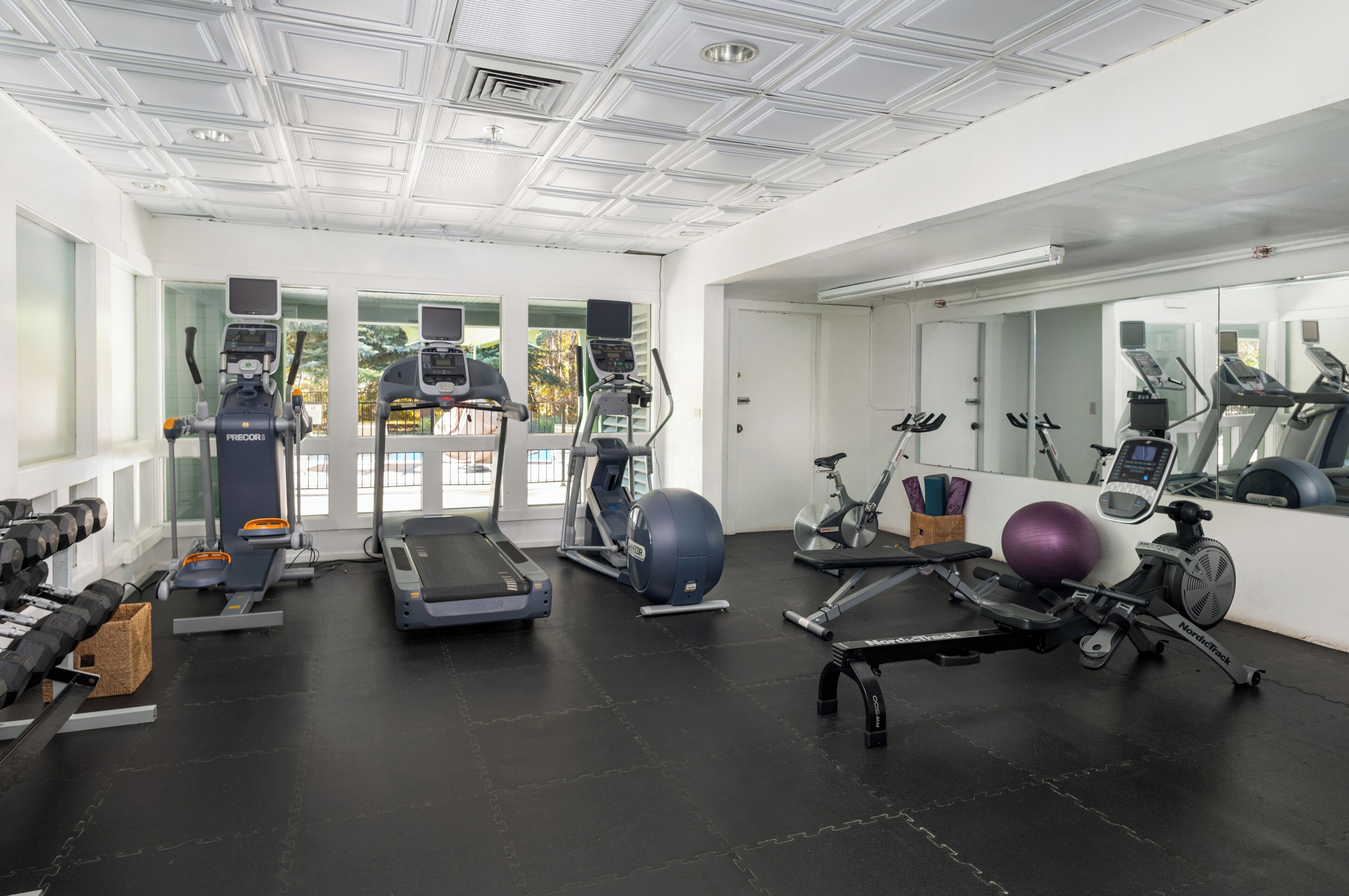 A modern gym with treadmills, elliptical machines, and free weights.
