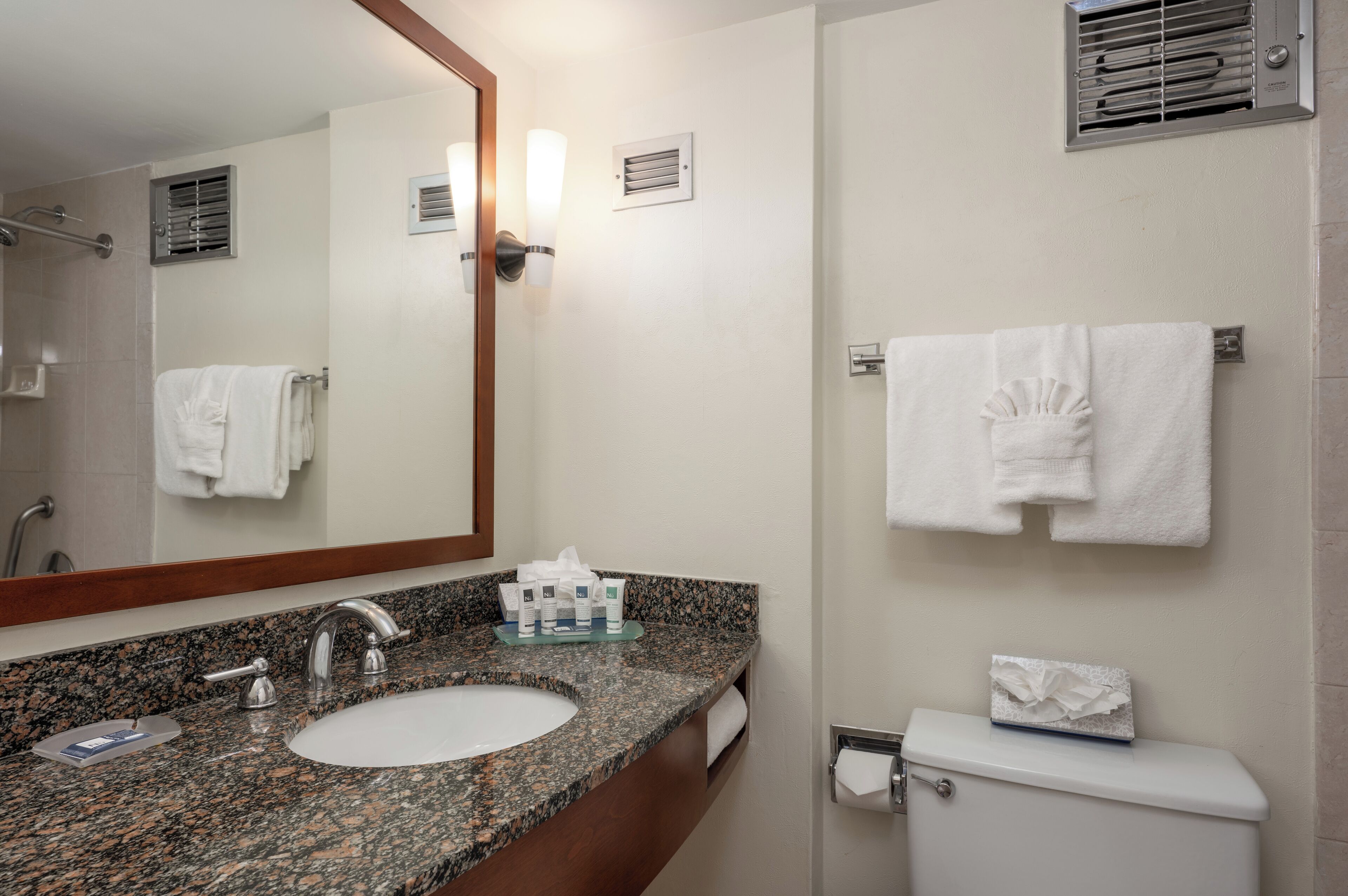 Une salle de bain avec un lavabo doté d’un plan de travail en granit, un miroir, un porte-serviettes et des toilettes.