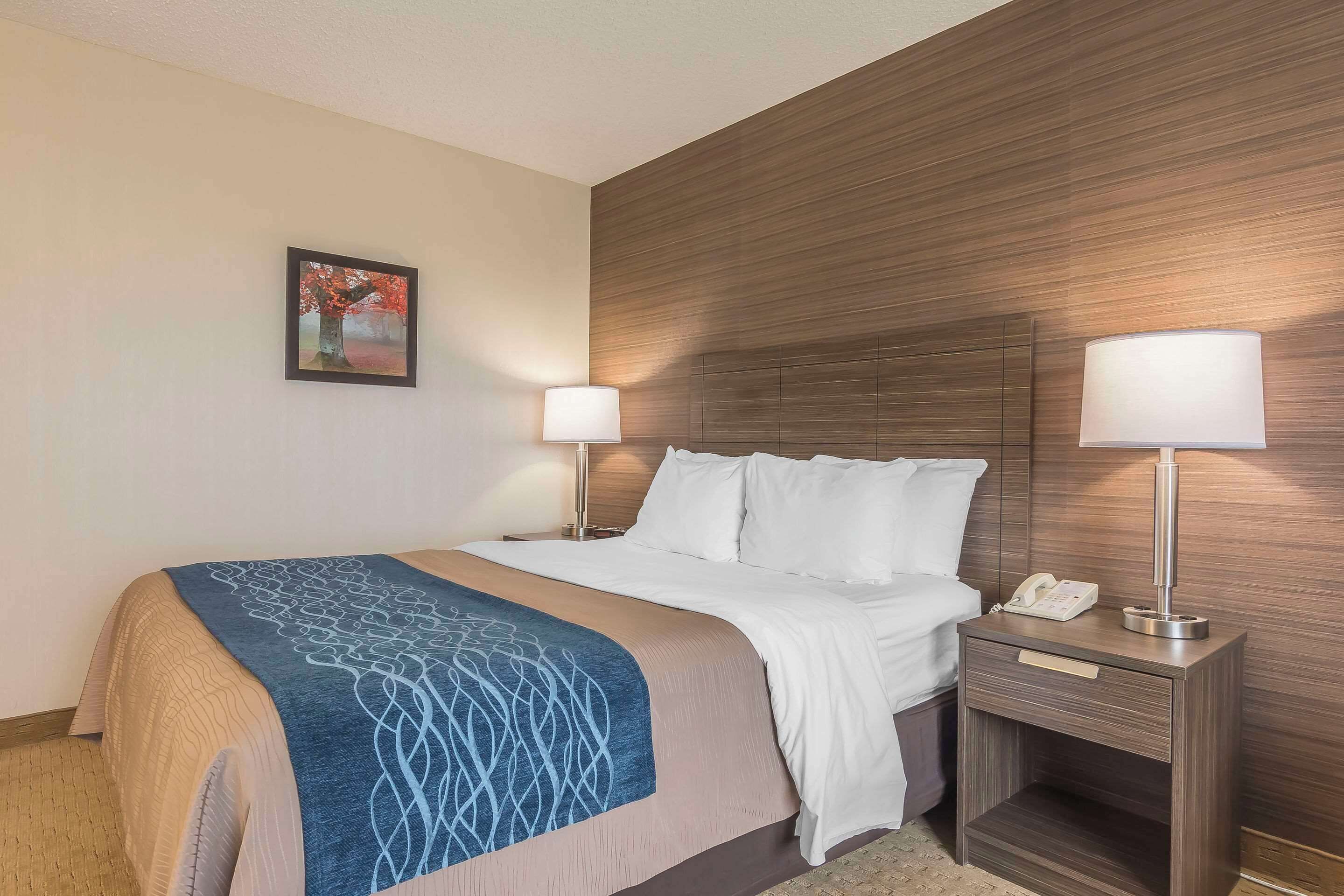 A hotel room with a bed, two bedside lamps, a nightstand with a phone, and a framed picture on the wall.