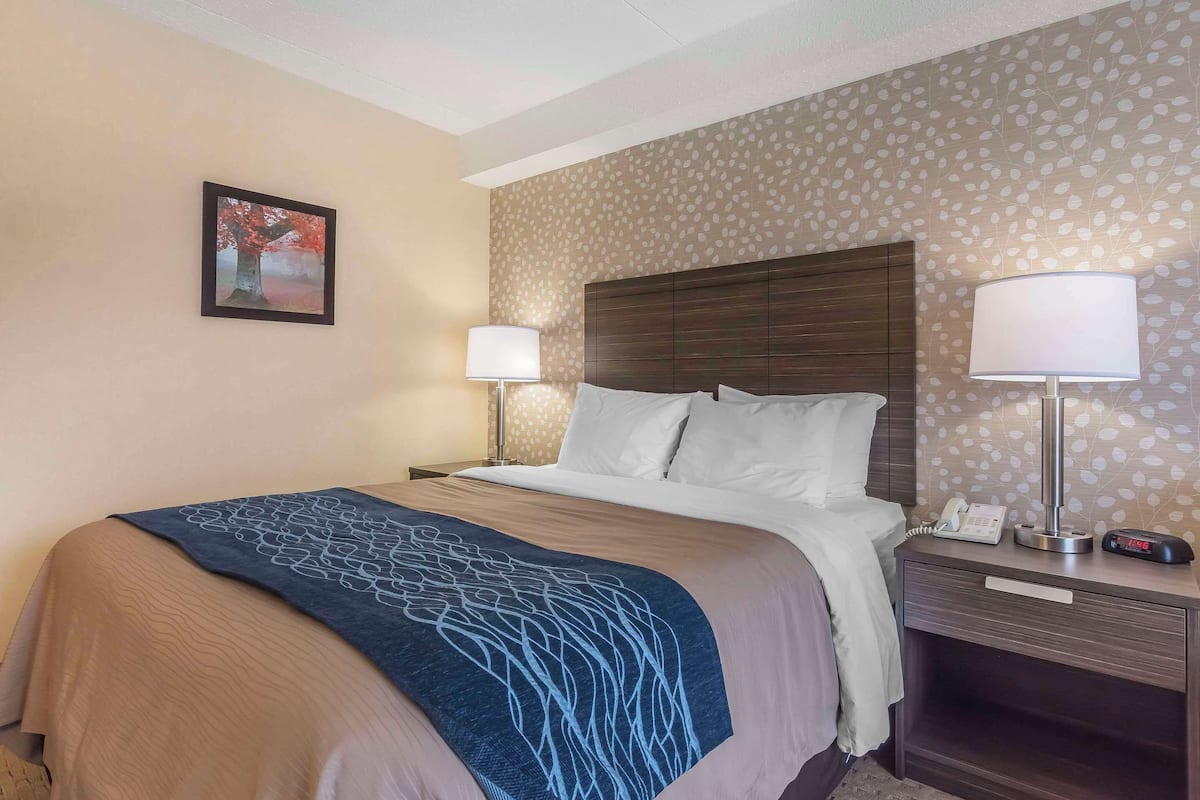 Premium bedding, pillowtop beds, desk, blackout drapes