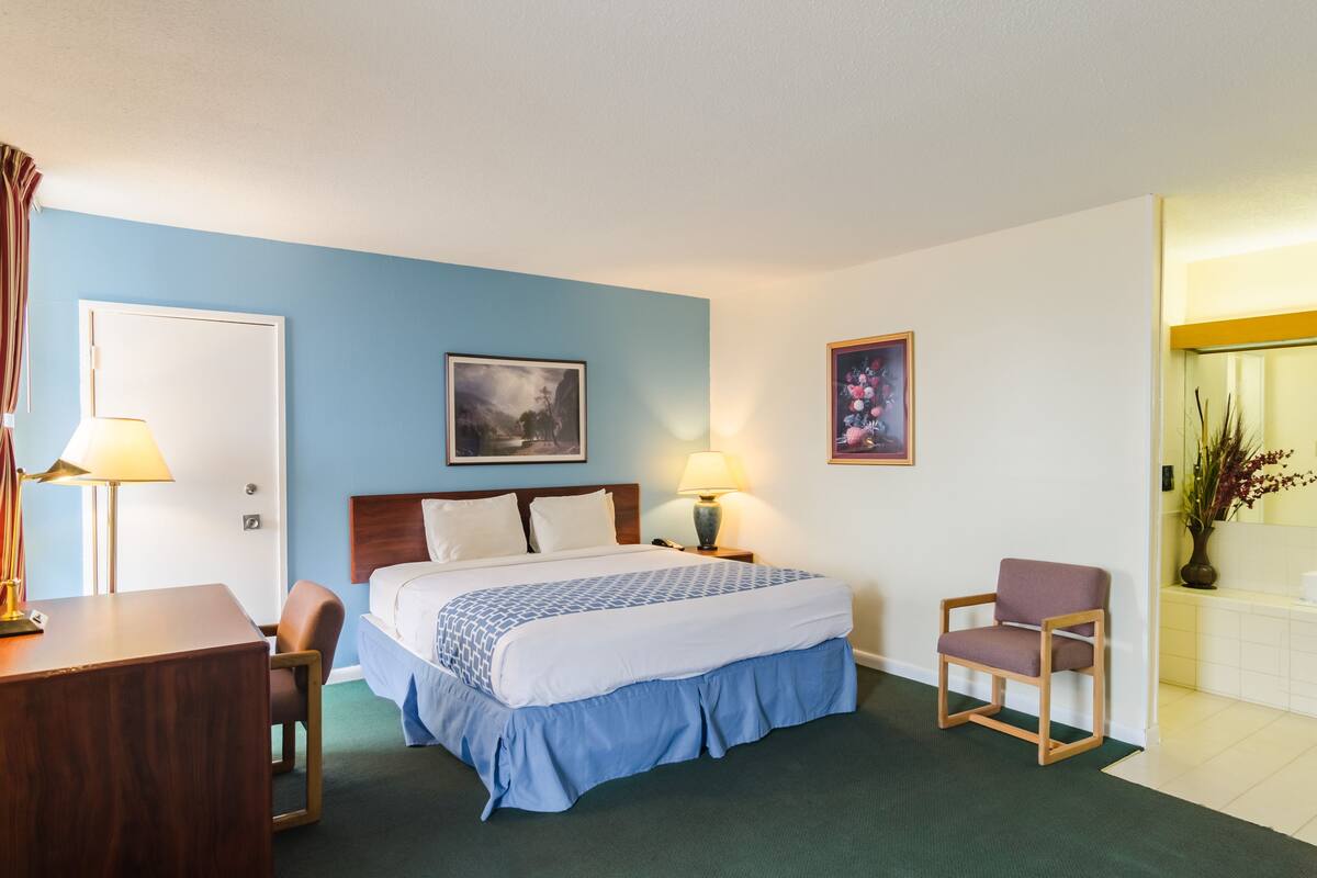 Deluxe Suite, 1 King Bed, Non Smoking, Hot Tub | Individually furnished, desk, blackout drapes, iron/ironing board