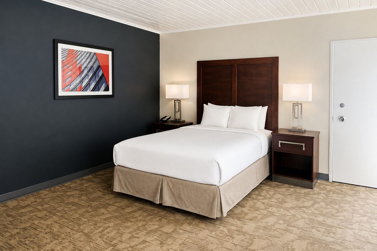 Deluxe Single Room, 1 Queen Bed, Non Smoking, Kitchenette | Desk, blackout drapes, iron/ironing board, WiFi (free)