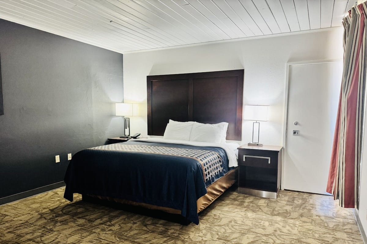 A hotel room with a bed, bedside tables, a lamp, a door, and a patterned carpet.