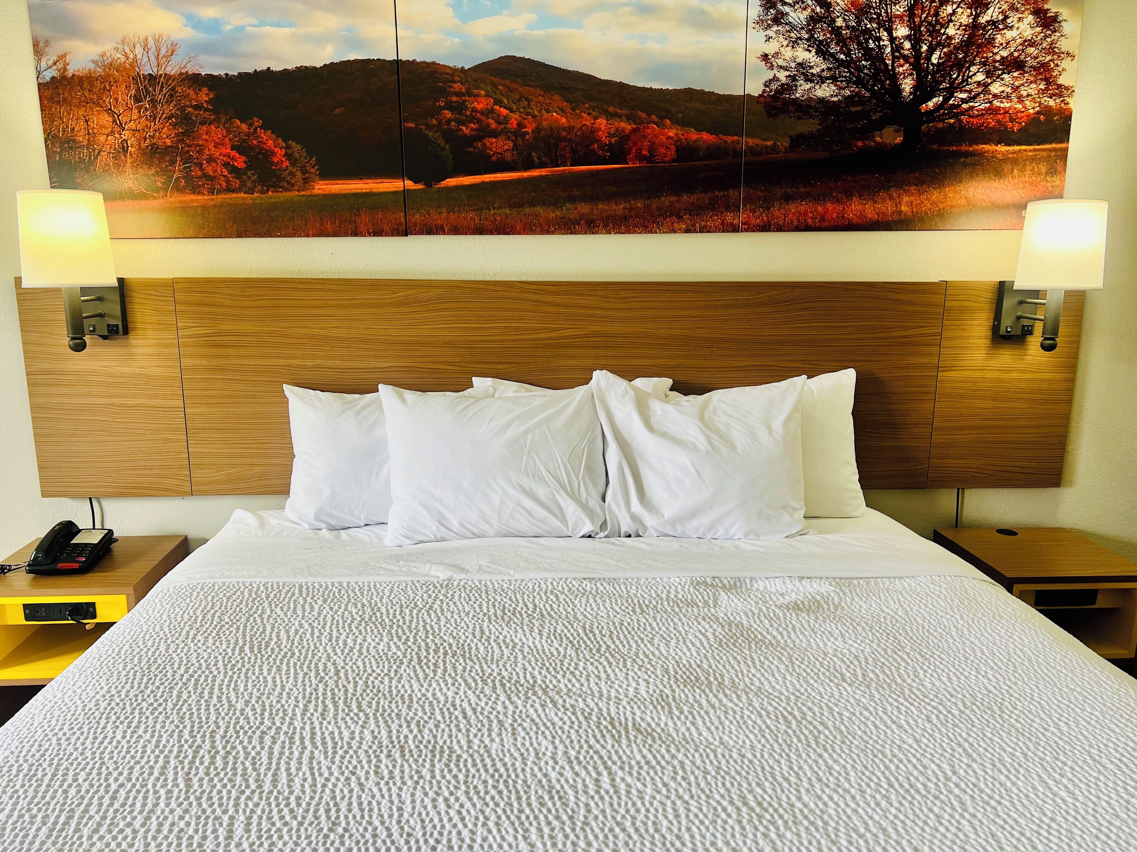 Een hotelkamer met een houten hoofdeinde, wit beddengoed, een landschapsschilderij boven het bed en bedlampen.