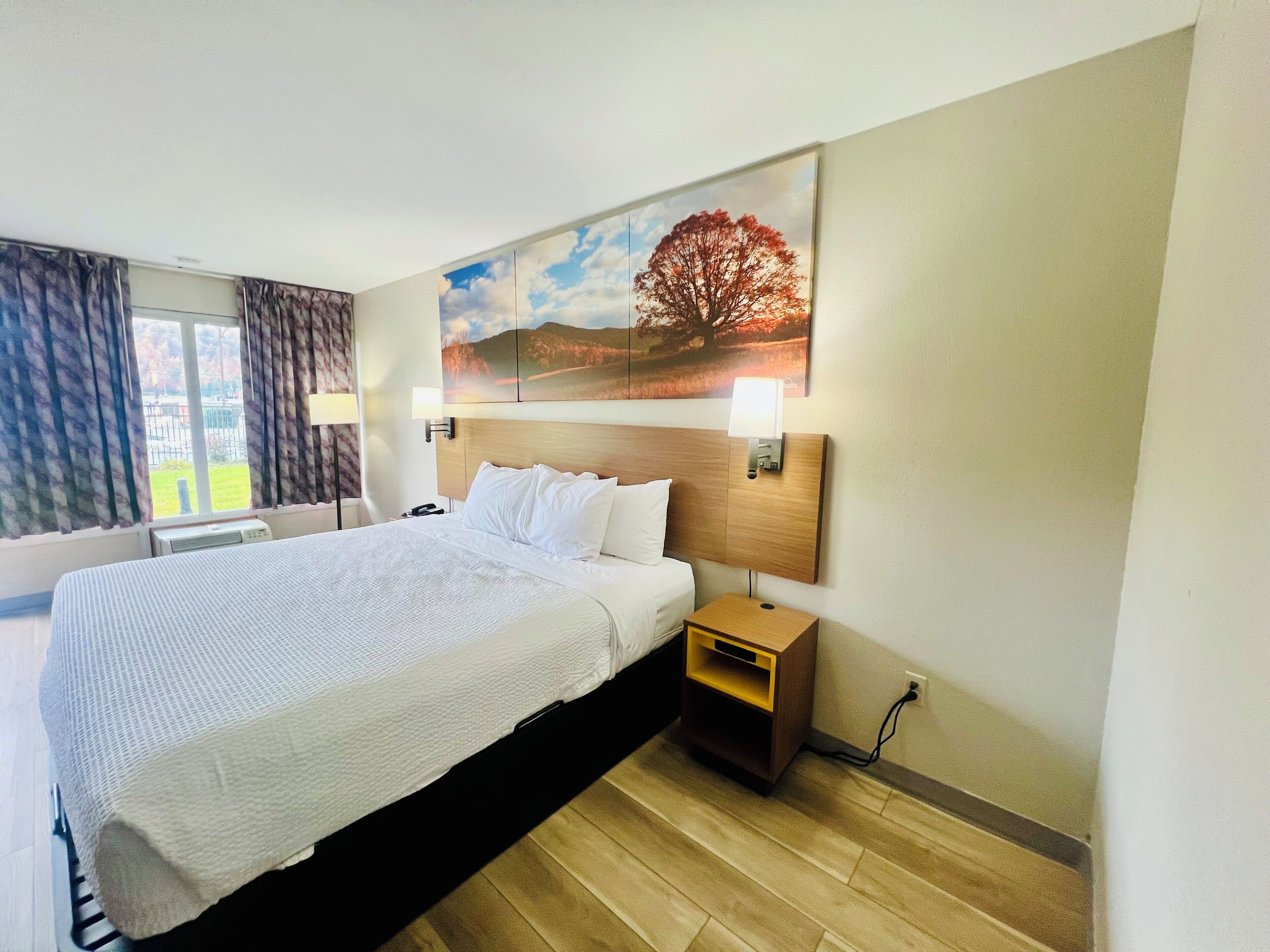 Quarto de hotel com uma cama grande, mesa de cabeceira, luminária na parede e um quadro de uma árvore.